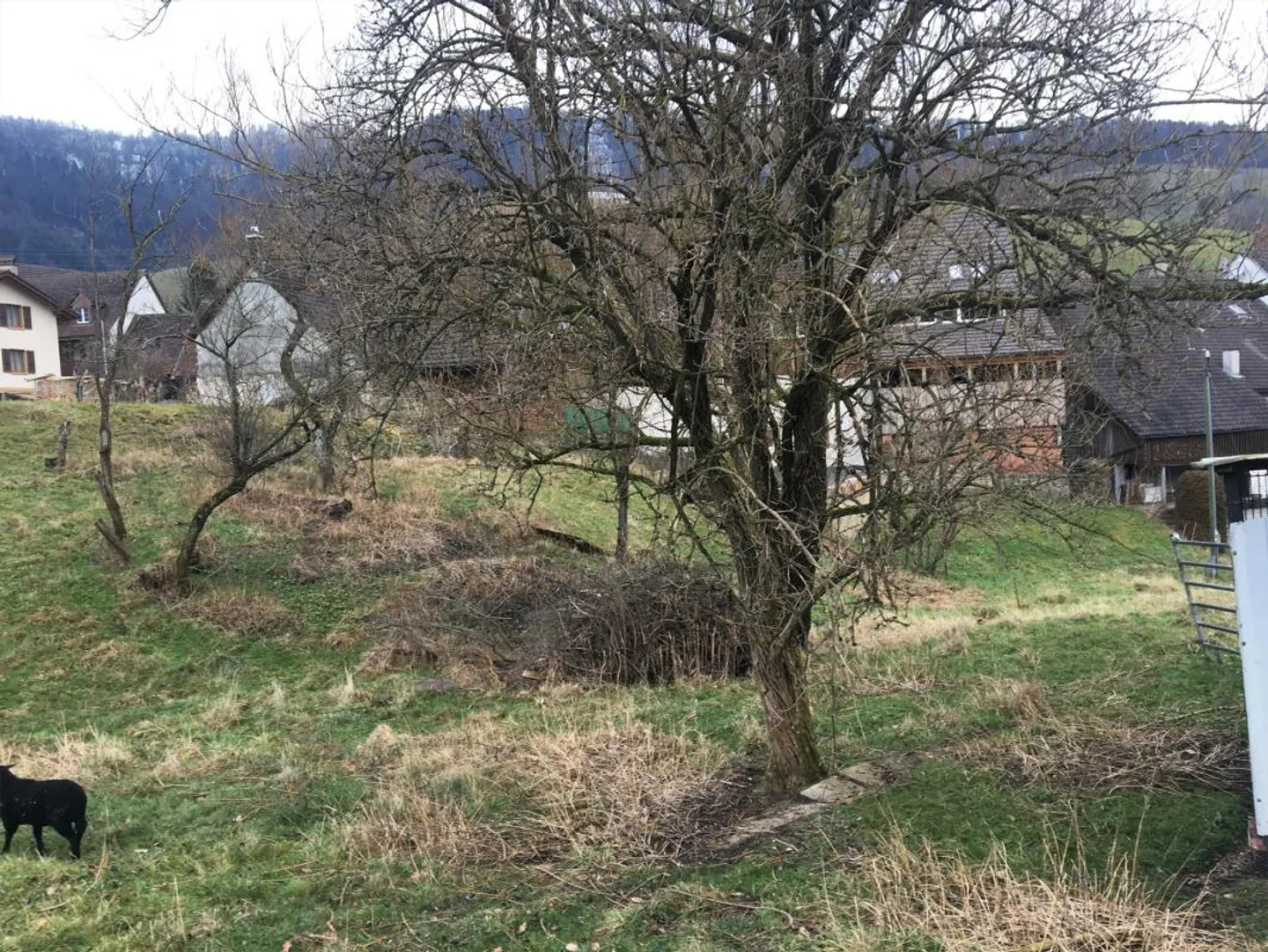 Terreno edificabile 1163 m2 a Bärschwil SO - Foto 6 di 6