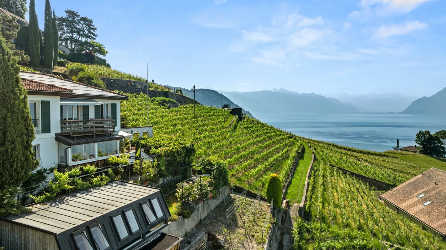 Charmantes Einfamilienhaus in Lavaux - Foto 1 von 13
