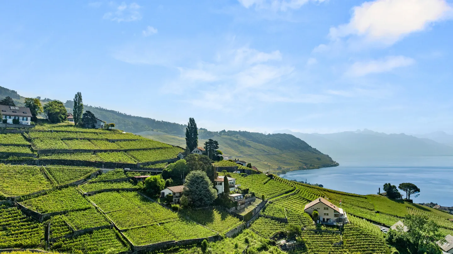 Charmantes Einfamilienhaus in Lavaux - Foto 3 von 13
