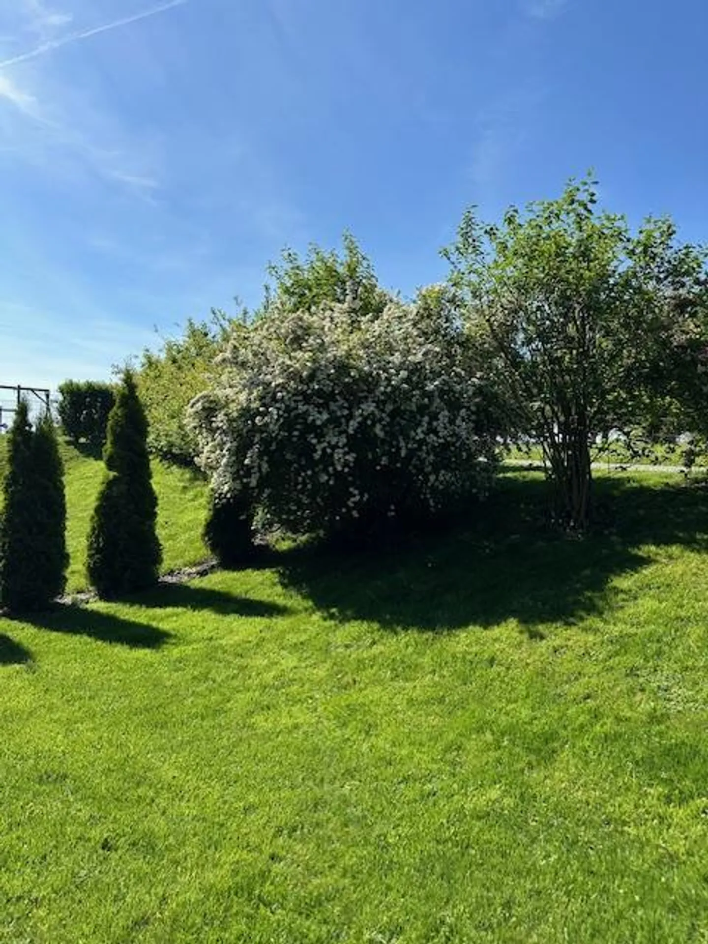 "Nachmieter gesucht für moderne 4.5-Zimmer-Wohnung mit Weitblick - Foto 1 von 8