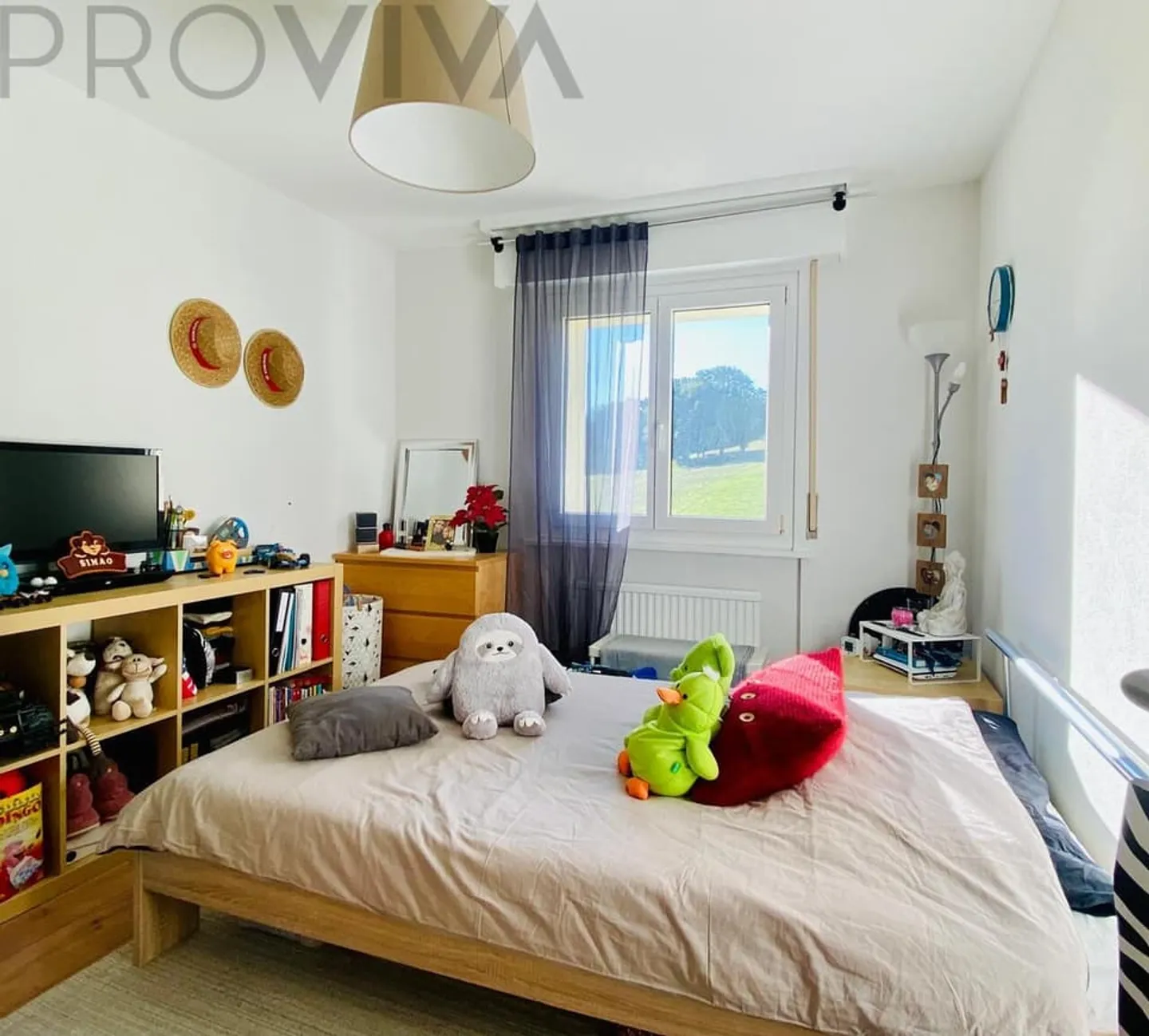 Investimento con buoni rendimenti - Foto 5 di 6