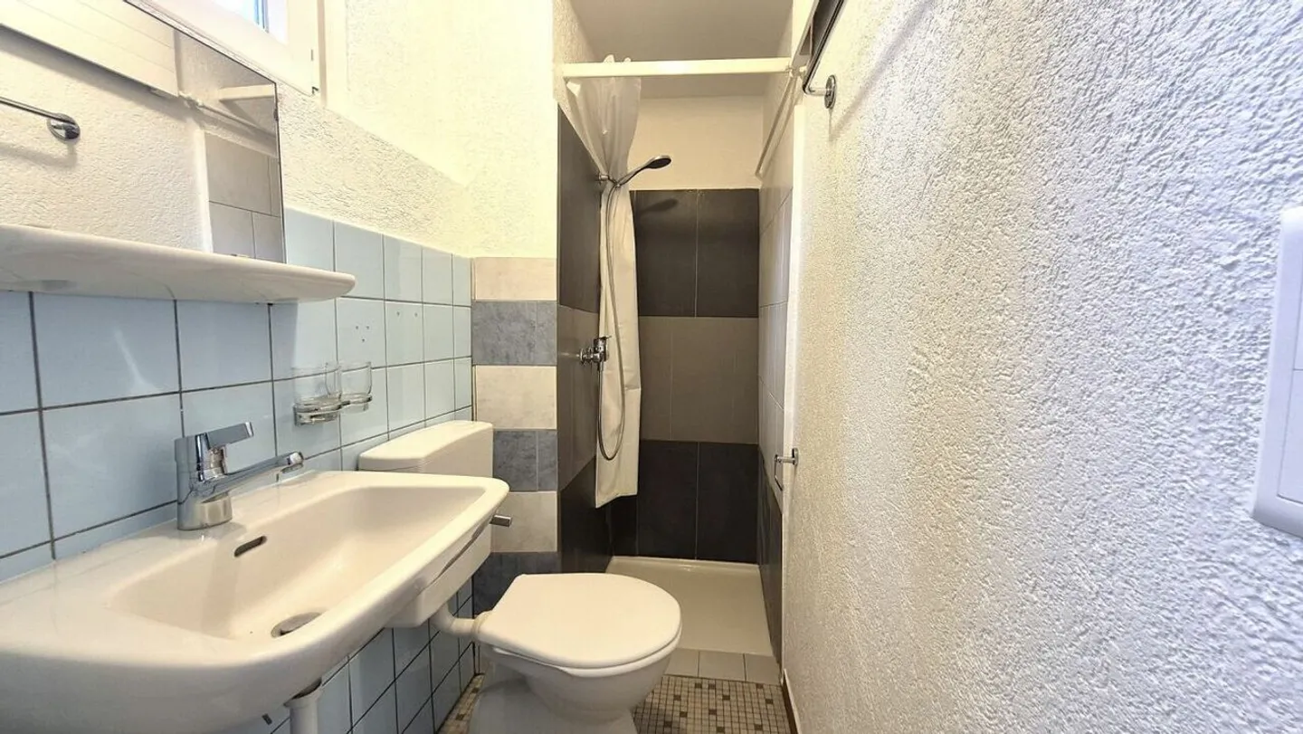 3.5 Room Apartment - Photo 4 of 7