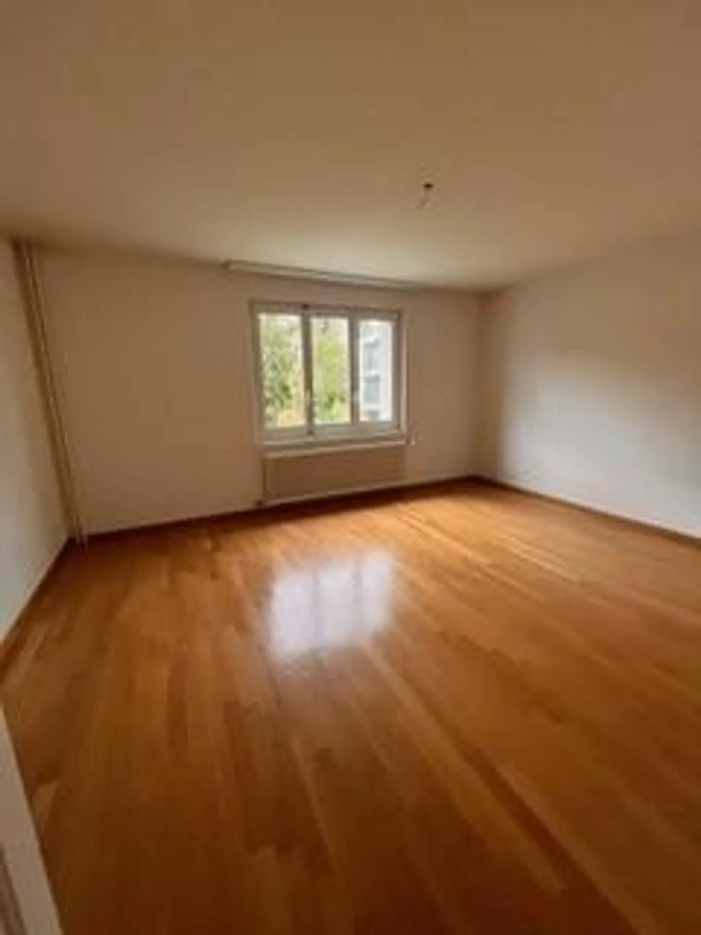 Modern Apartment in Quiet Area - Photo 5 of 5
