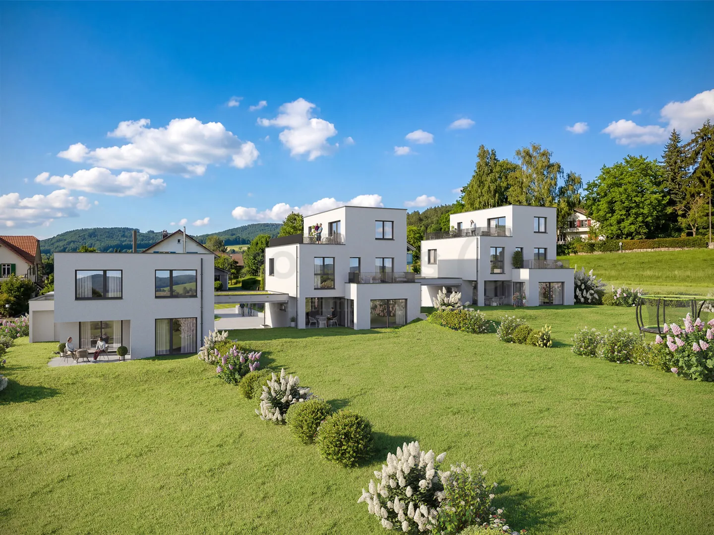 EFH with Attic, huge plot & unobstructed view in Reinach - Photo 1 of 13