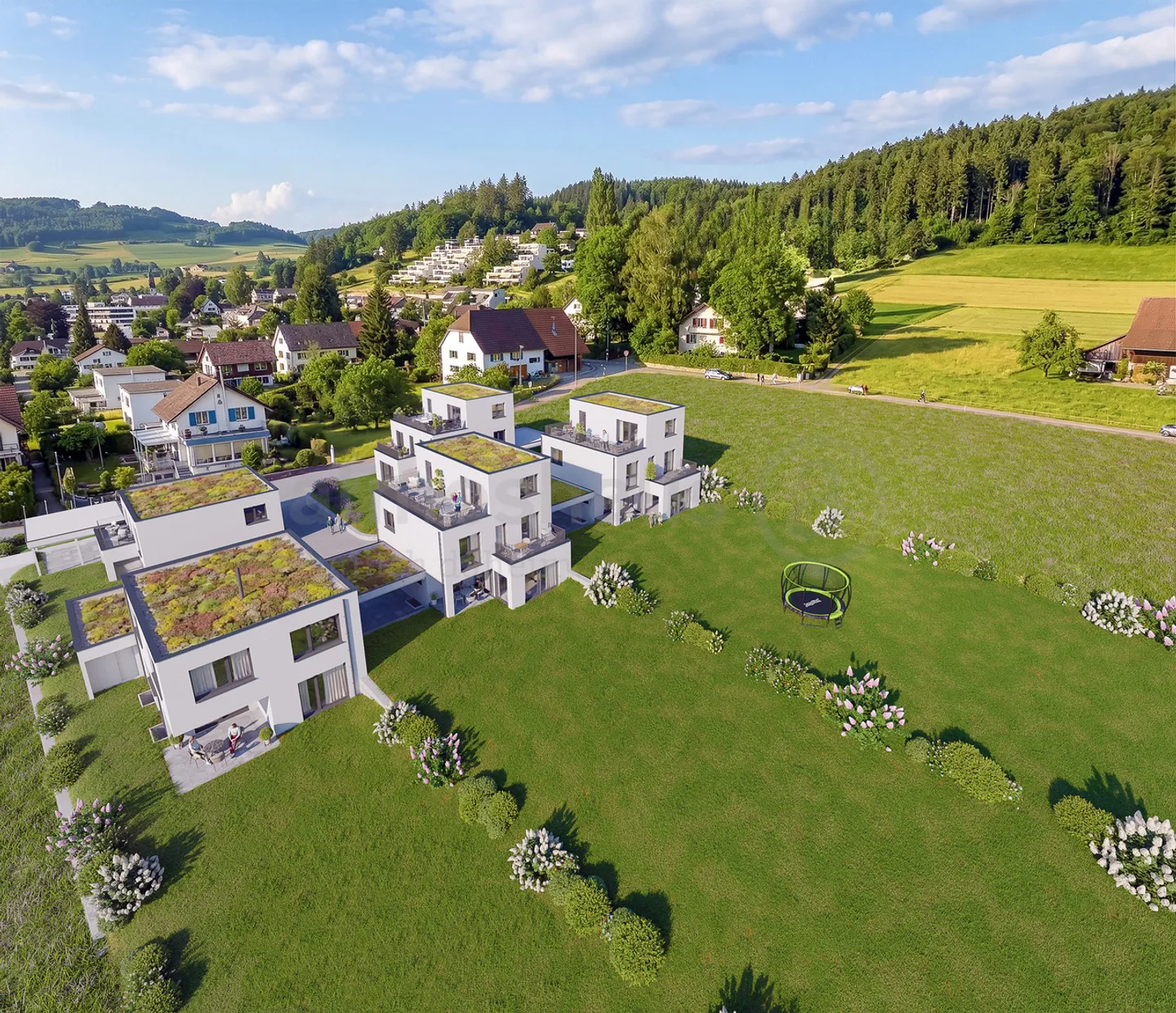 EFH with Attic, huge plot & unobstructed view in Reinach - Photo 2 of 13