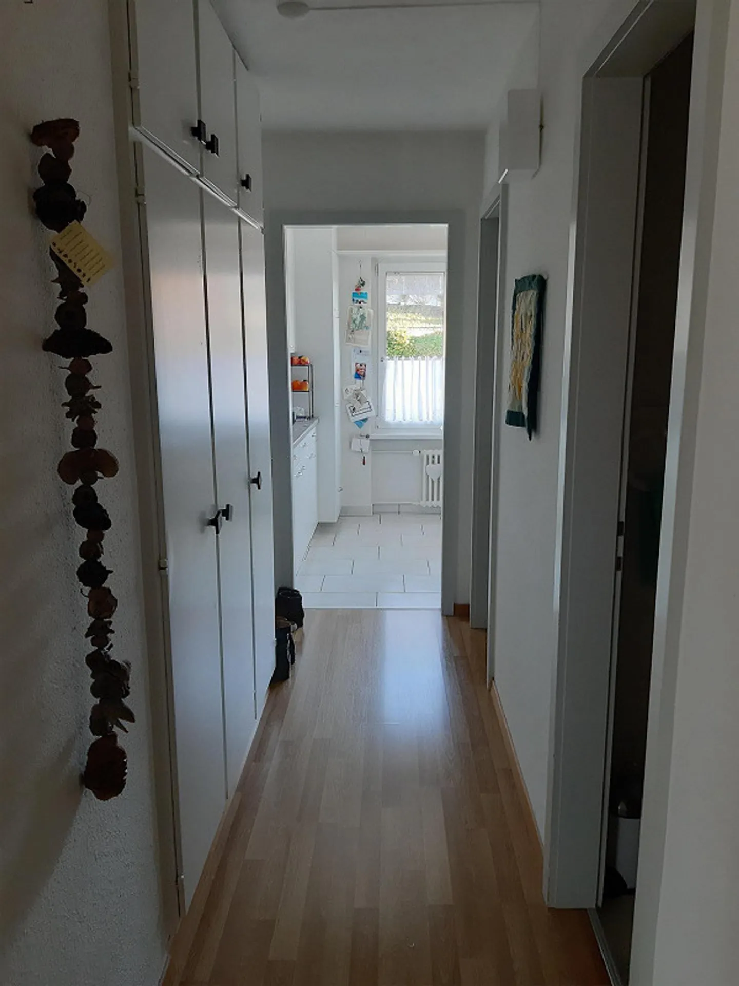 Cerca un nuovo inquilino dal 1 maggio 2026 - Foto 2 di 8