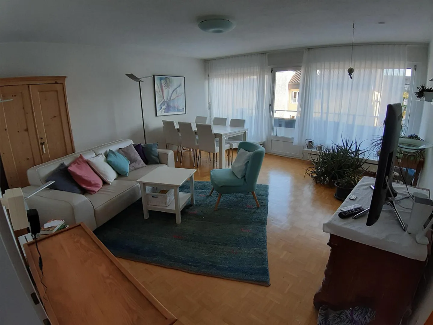 Cerca un nuovo inquilino dal 1 maggio 2026 - Foto 1 di 8