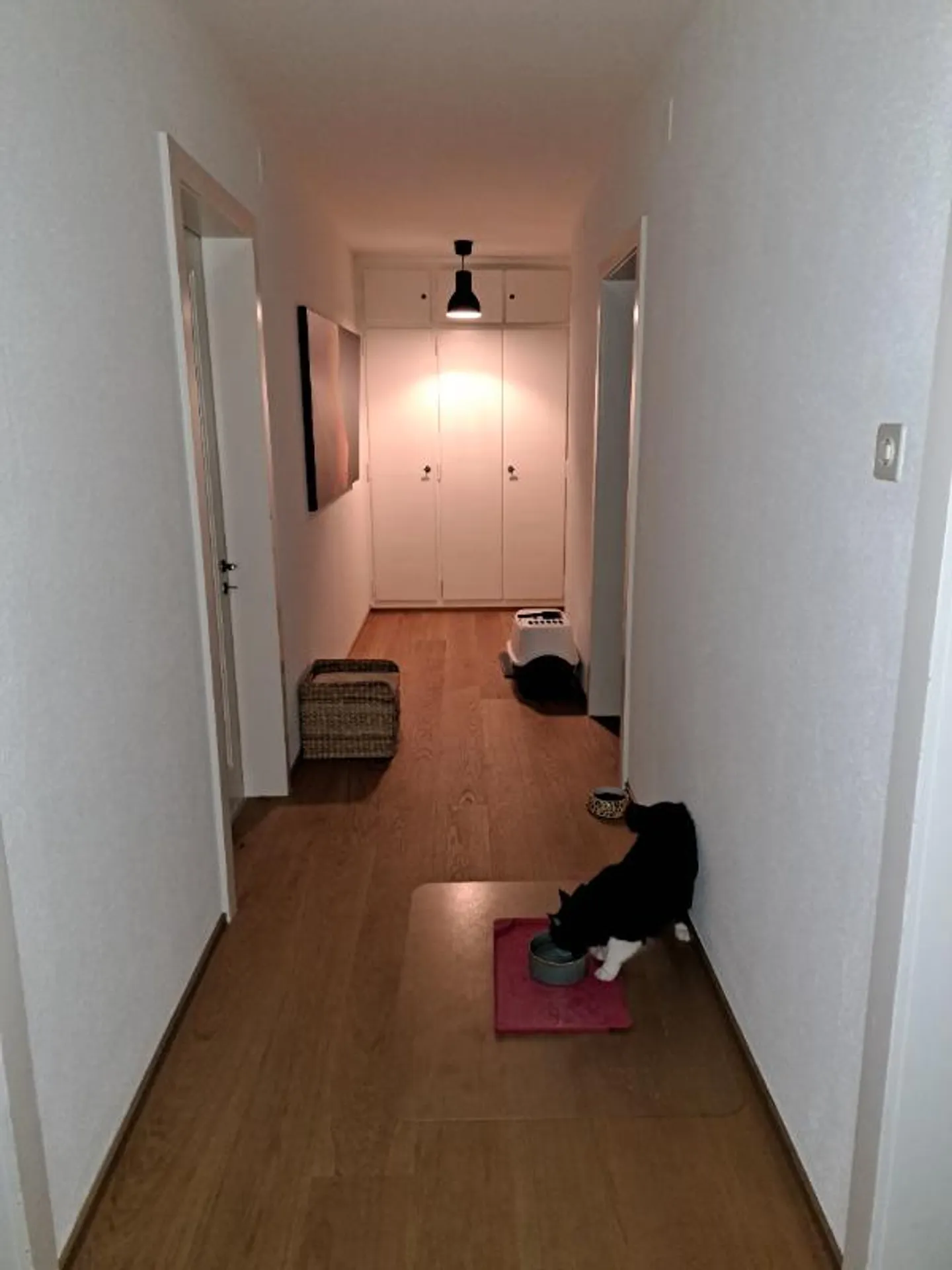 Camera in appartamento condiviso - Foto 5 di 5