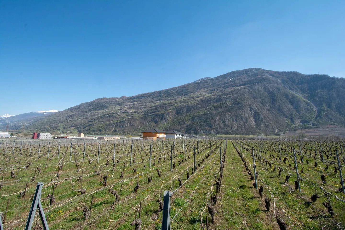 Terrrain équipé avec projets de villas à construire - Photo 2 sur 7