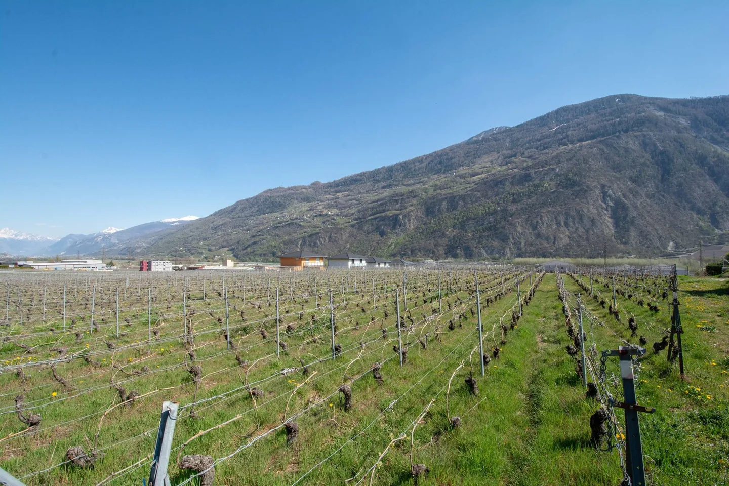 Terrrain équipé avec projets de villas à construire - Photo 3 sur 7