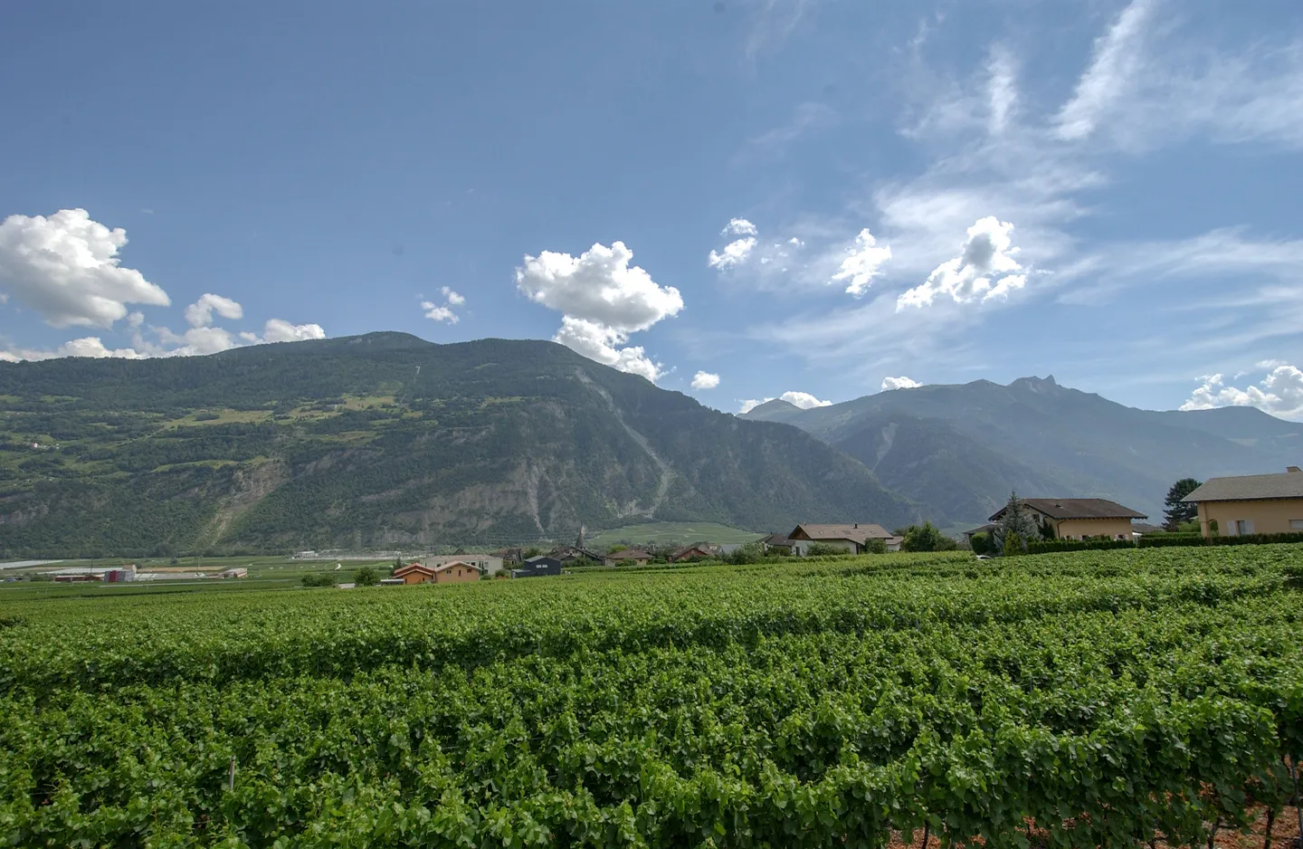 Terrrain équipé avec projets de villas à construire - Photo 5 sur 7
