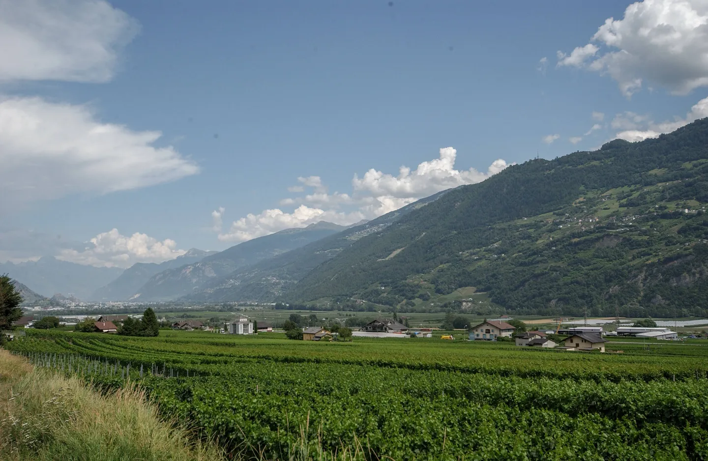 Terrrain équipé avec projets de villas à construire - Photo 4 sur 7