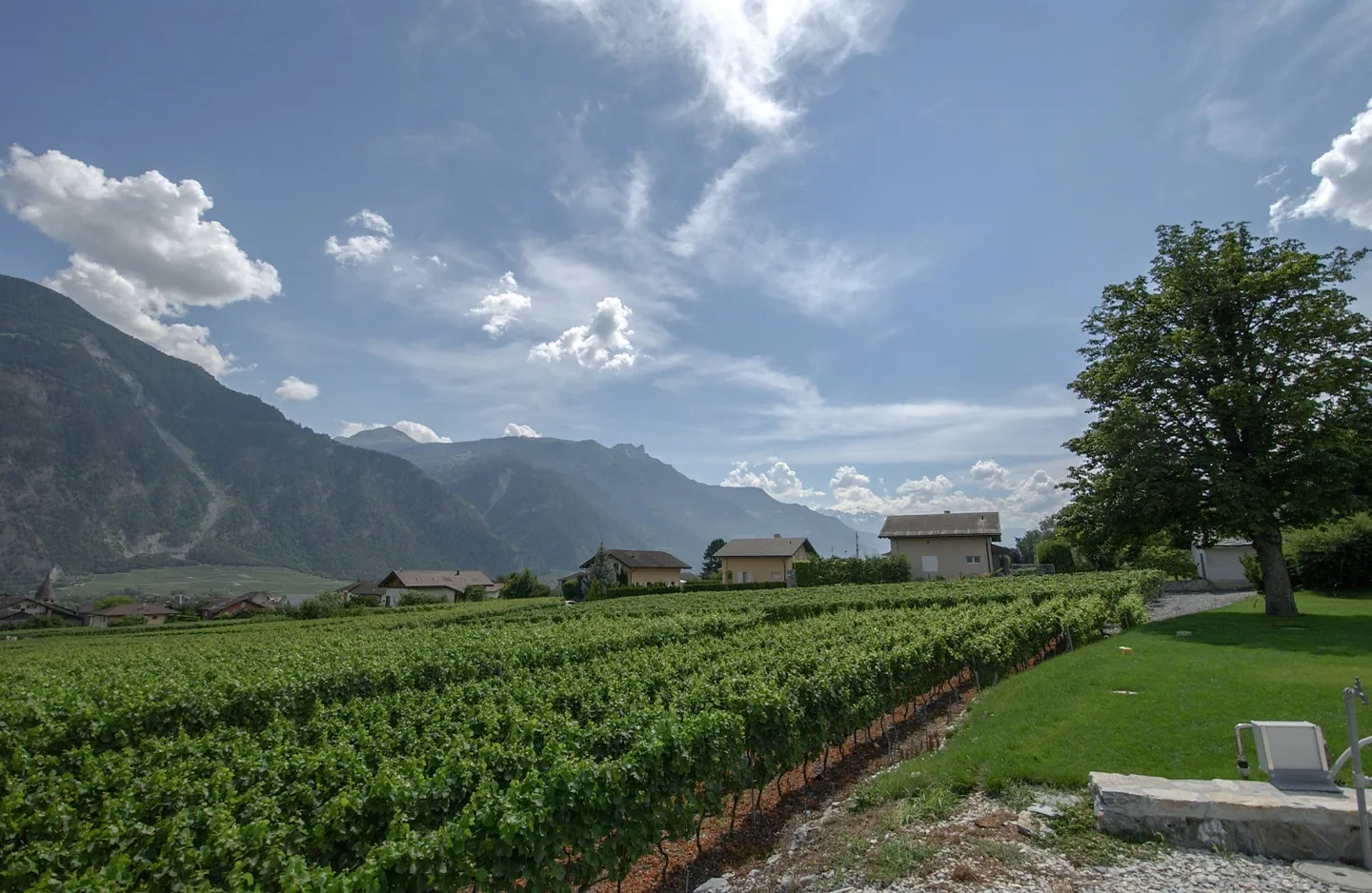 Terrrain équipé avec projets de villas à construire - Photo 6 sur 7