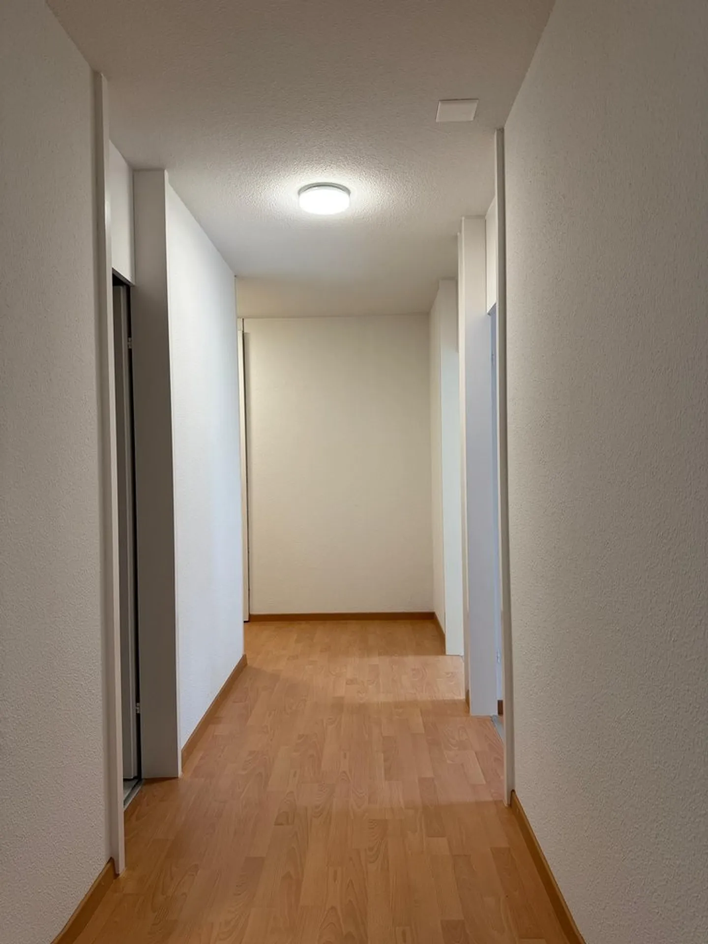 Beautiful 3.5 room apartment in Ostermundigen for rent - Photo 5 of 7