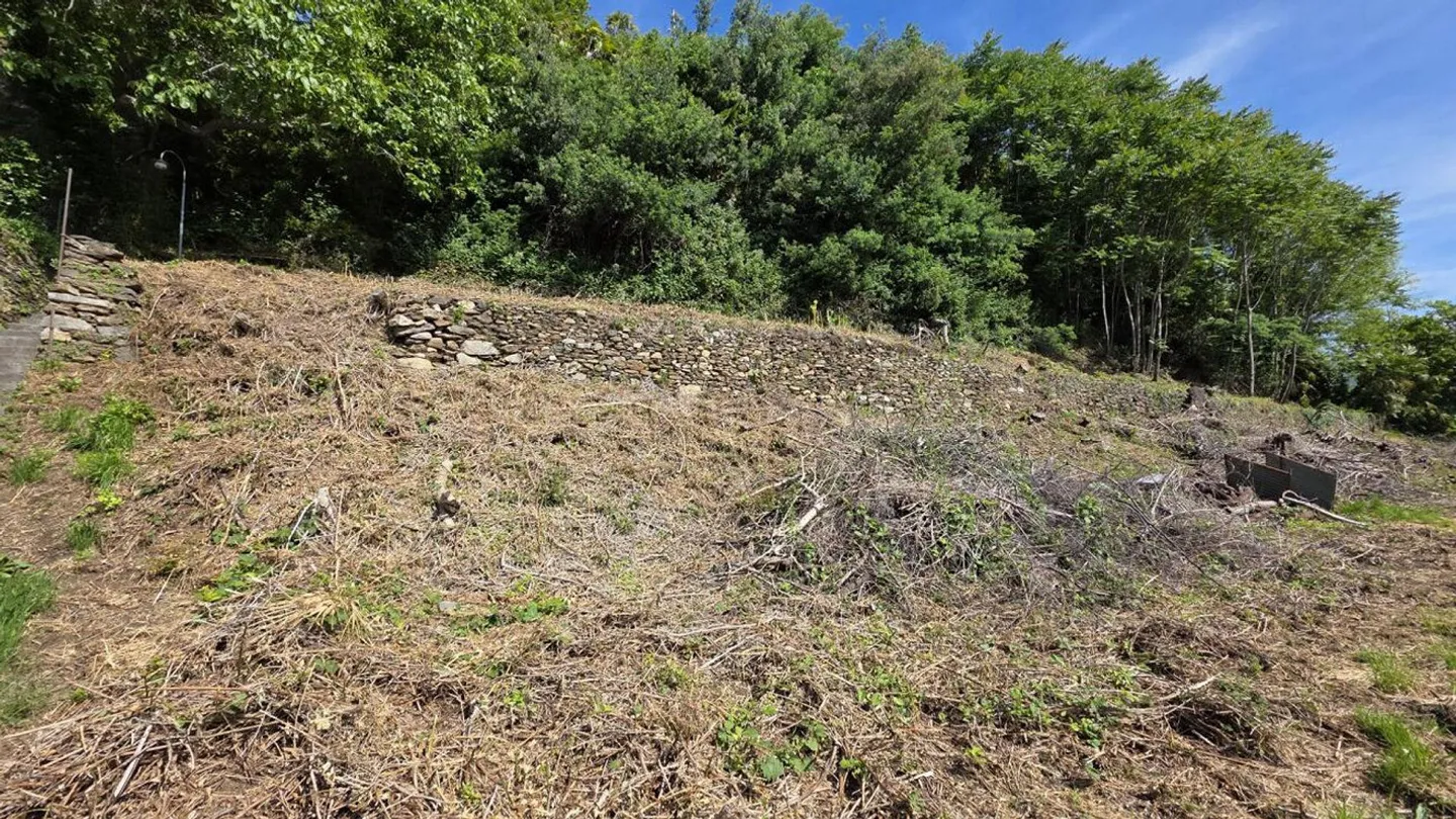 Dove il sogno incontra il lago. | Wo der Traum auf den See trifft. - Photo 5 sur 5