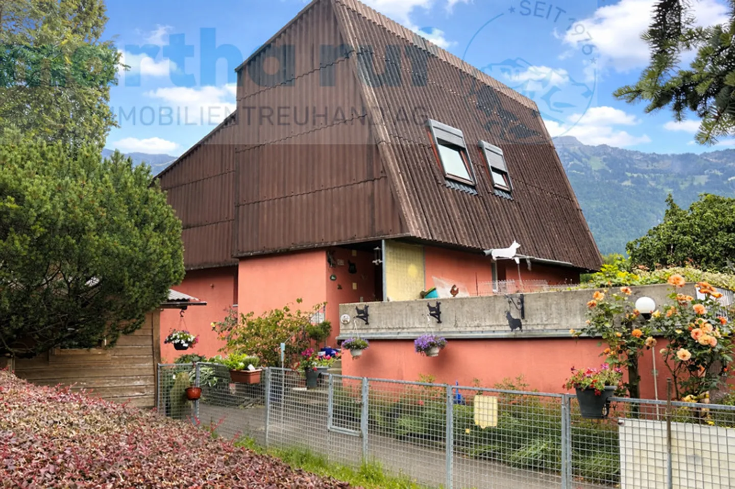 Pension Animale Unique - Photo 2 sur 19