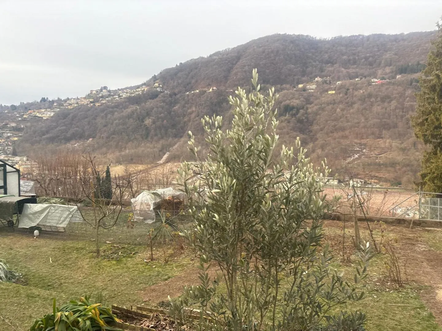 Villa de 9 pièces avec grand jardin, très calme, vue ensoleillée - Photo 34 sur 36