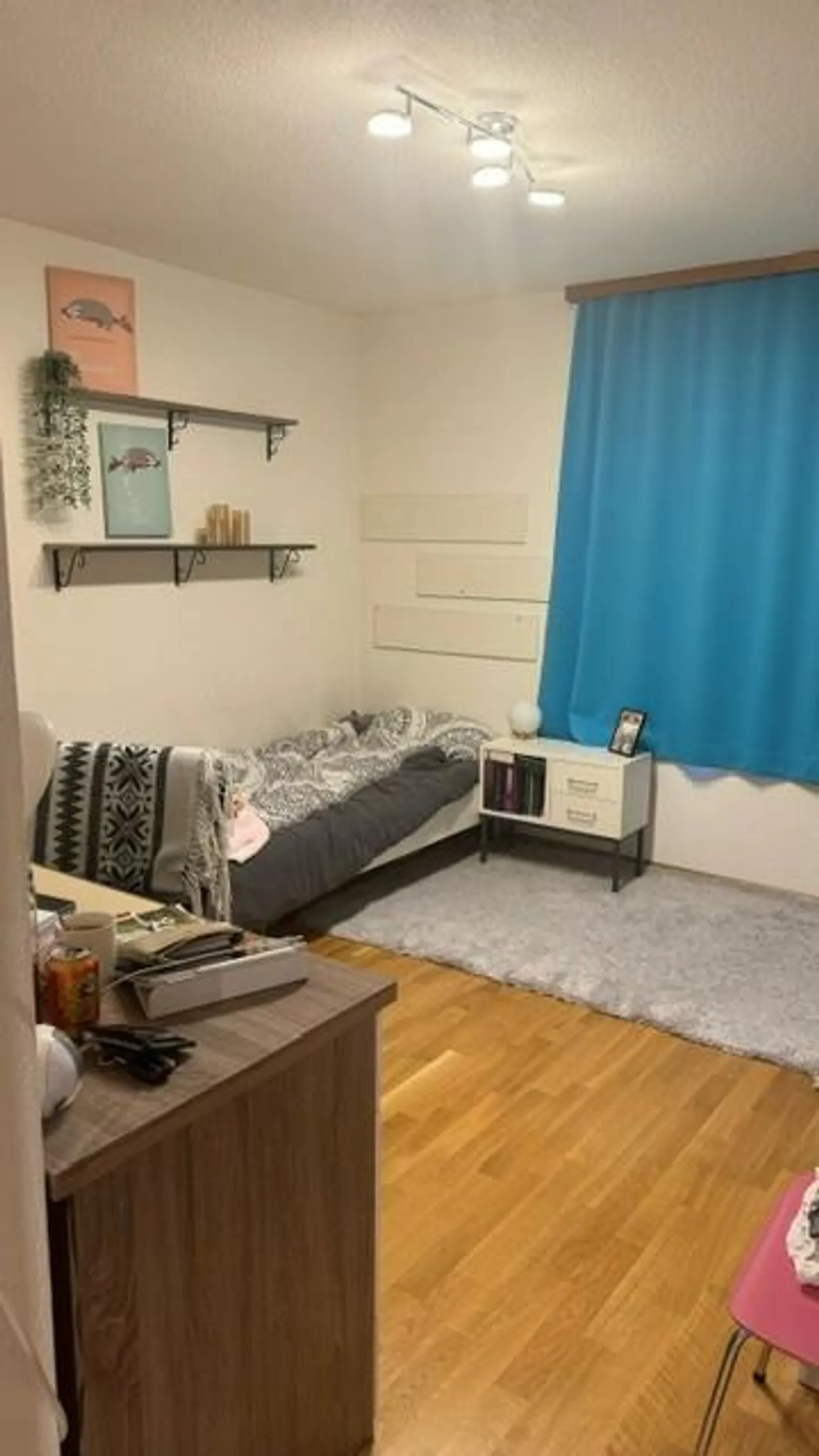 Accogliente appartamento di 3½ stanze con bel balcone nel centro di Meiringen - Foto 2 di 7