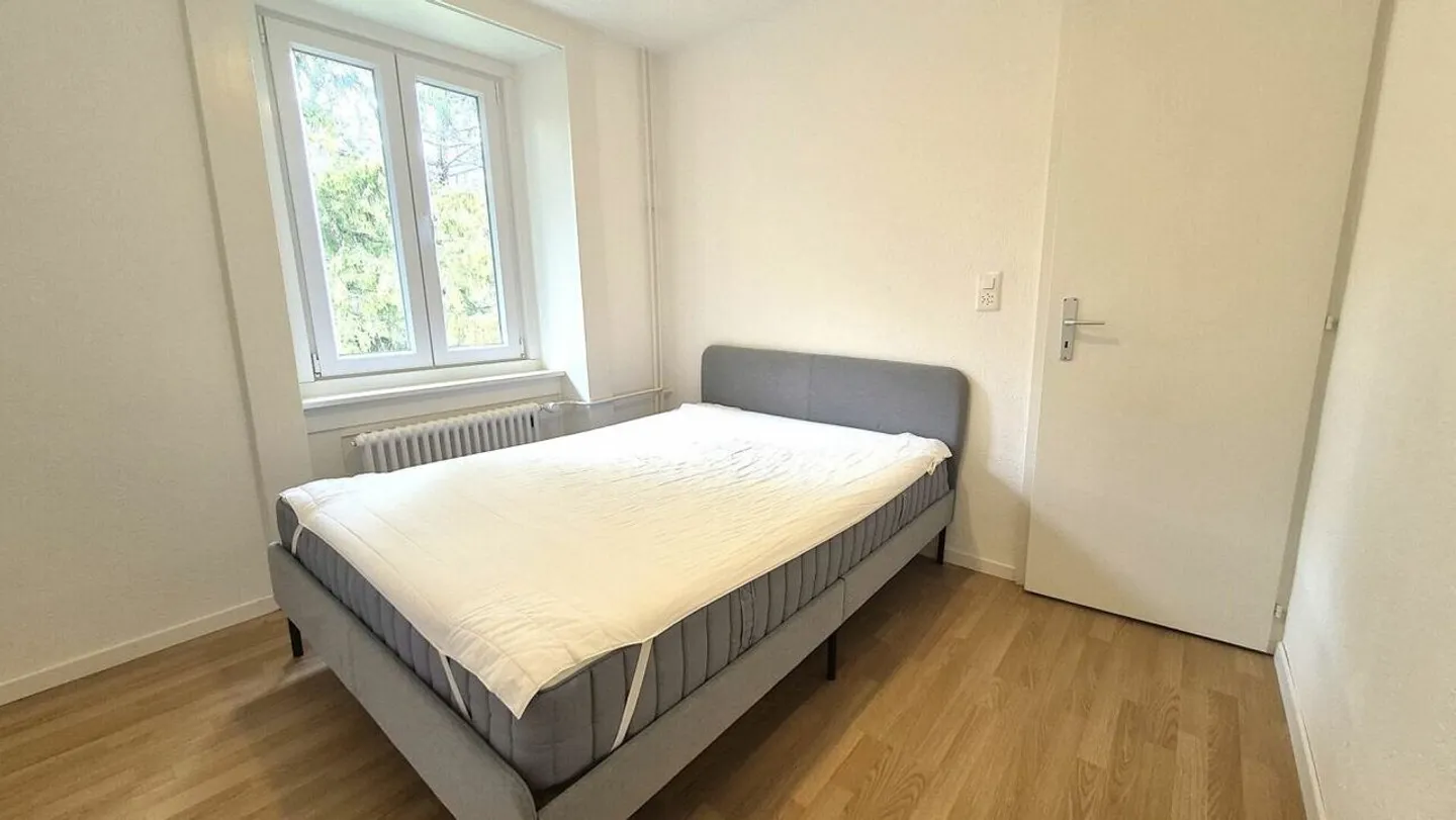 3.5 Room Apartment - Photo 7 of 7