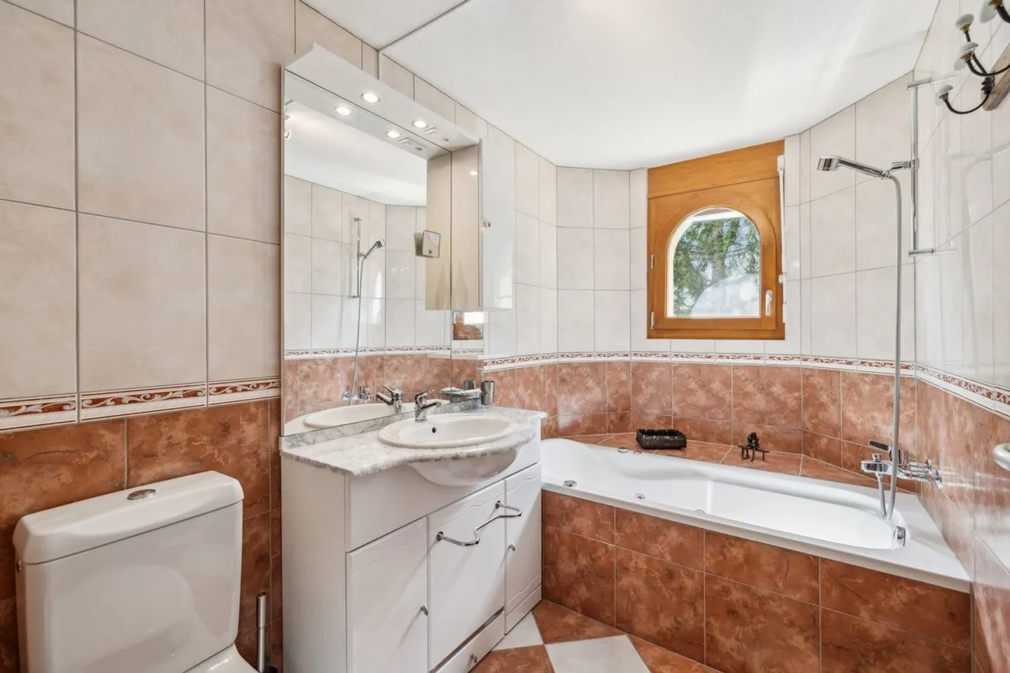 Grand appartement traversant de 5 pièces avec vue Alpes - Photo 6 sur 10