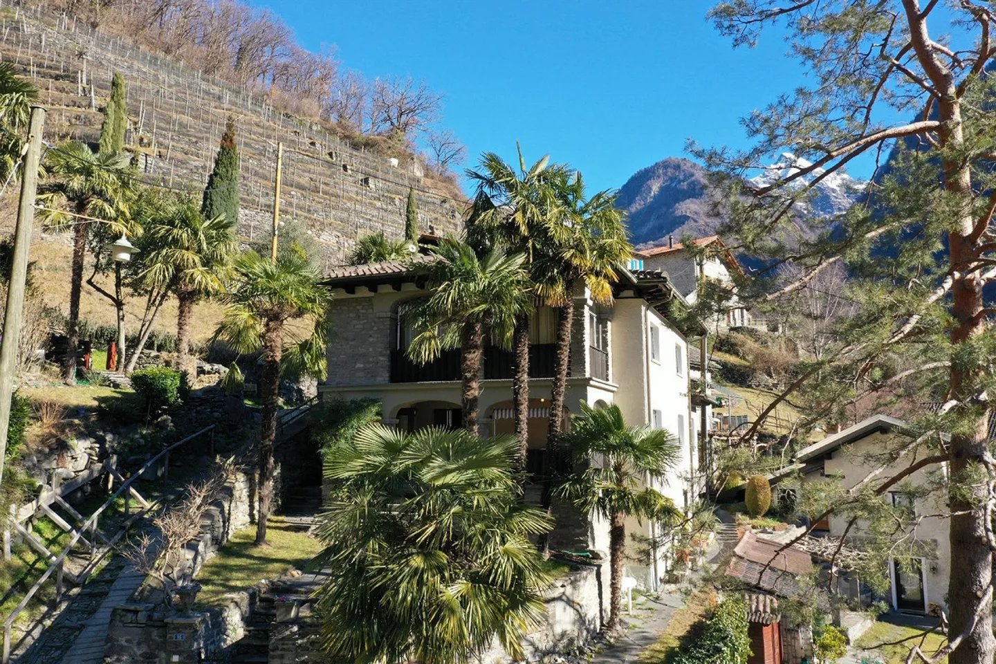 Casa unifamiliare con 2 appartamenti, studio indipendente, ampio giardino e rustico - Foto 1 di 20