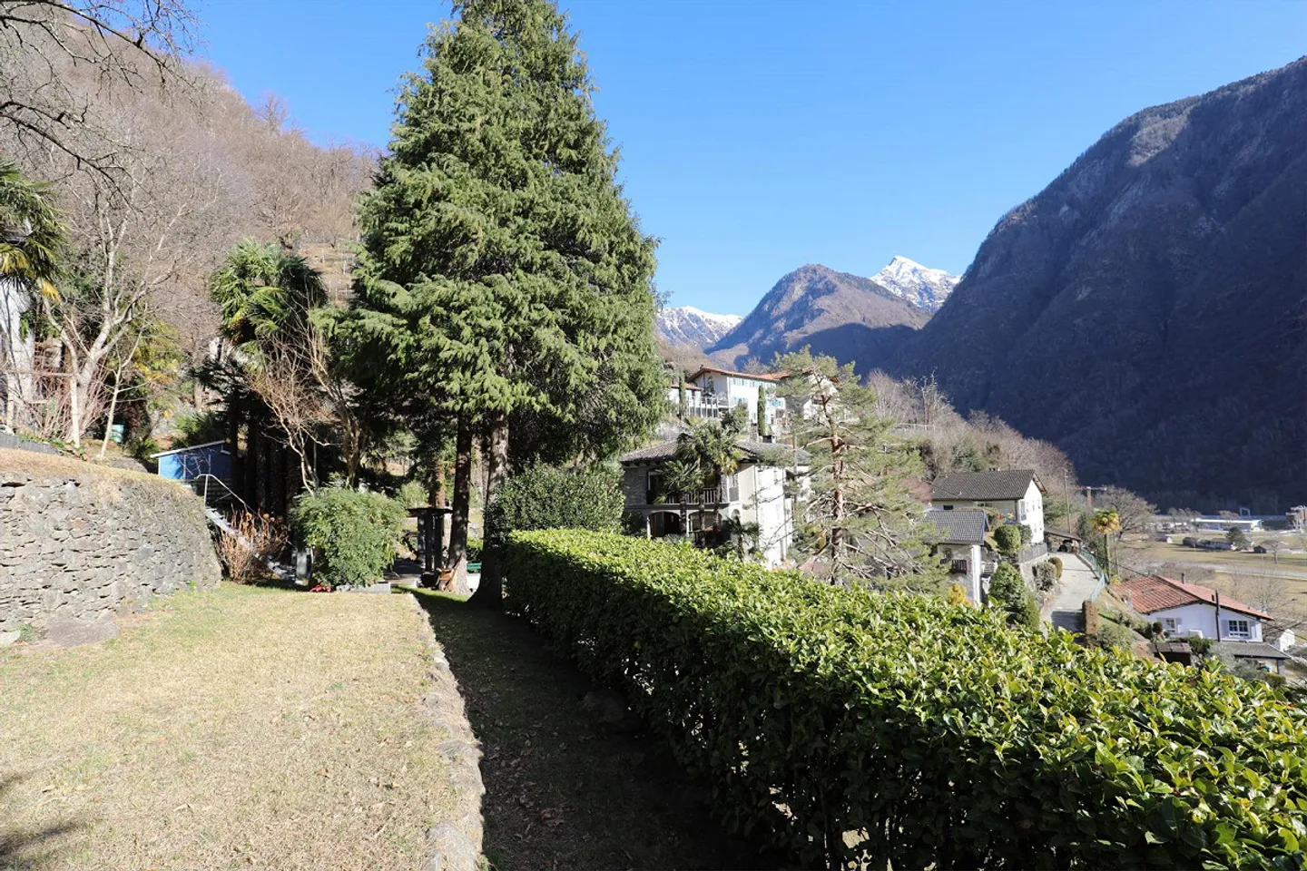 Casa unifamiliare con 2 appartamenti, studio indipendente, ampio giardino e rustico - Foto 5 di 20