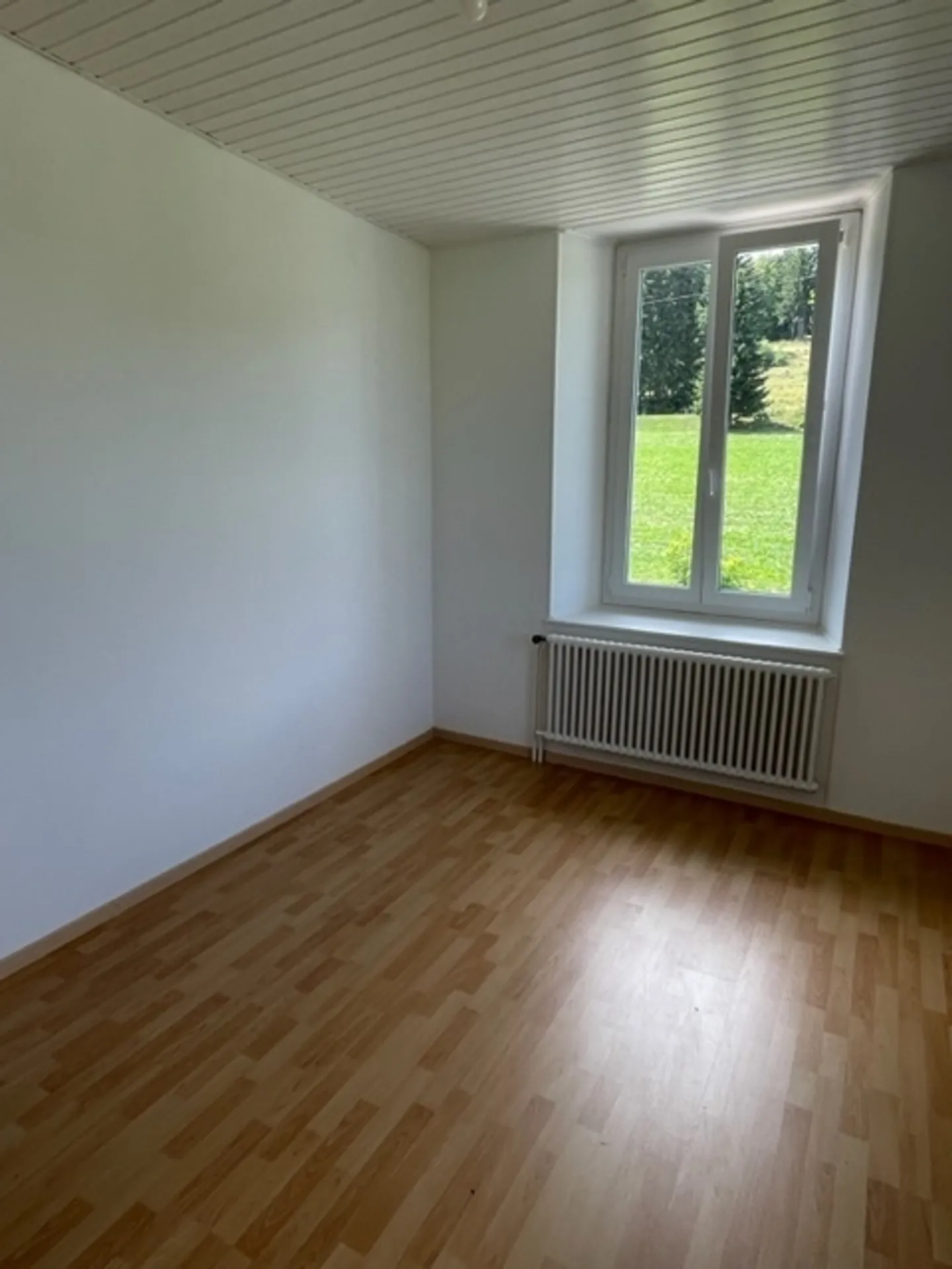 Appartamento Ristrutturato Incantevole - Foto 3 di 10