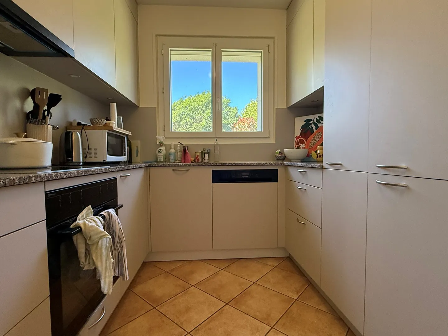 Casa singola in affitto - Foto 6 di 19