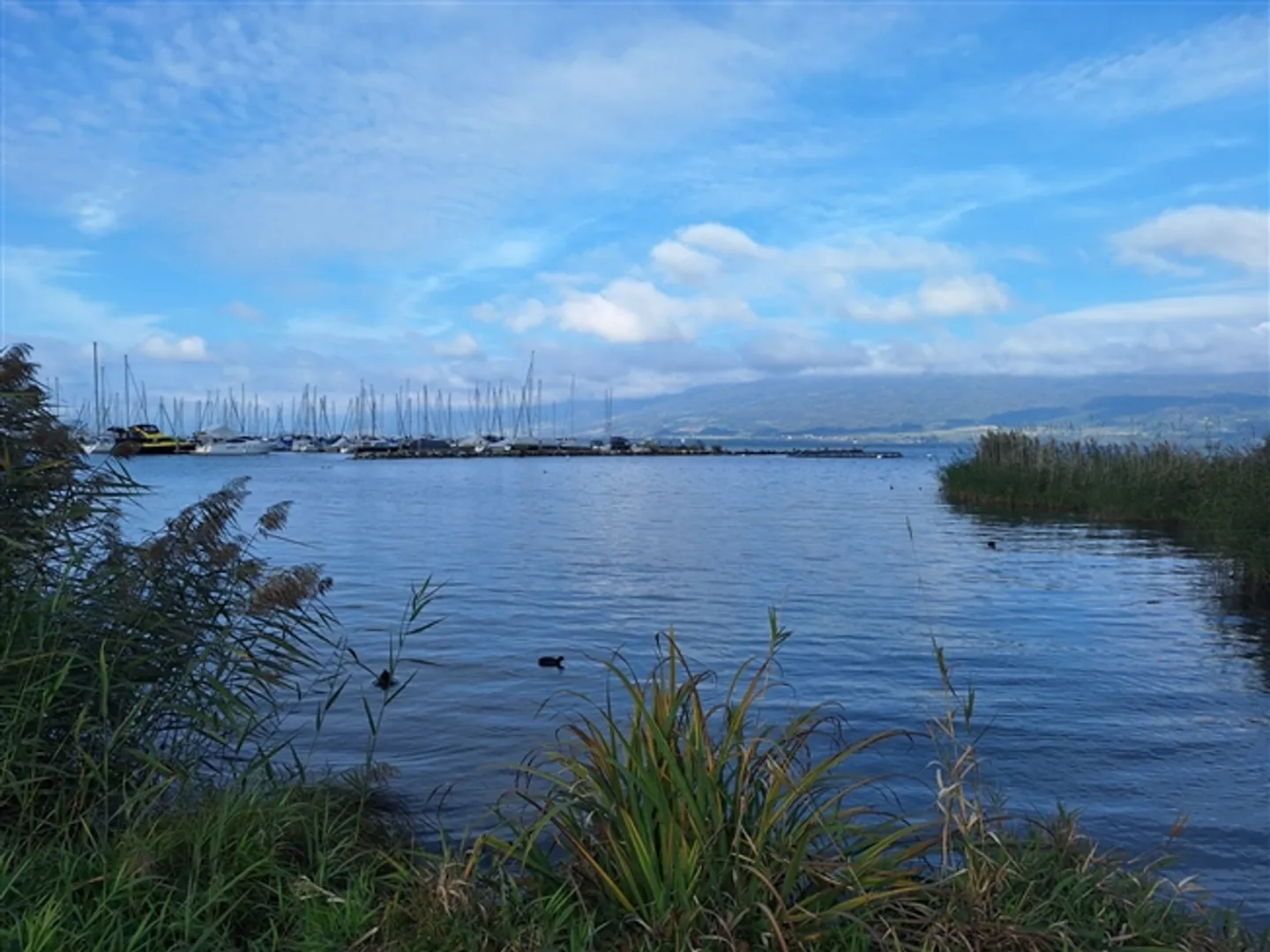 Un angolo di paradiso al lago a Cheyres - Foto 1 di 10