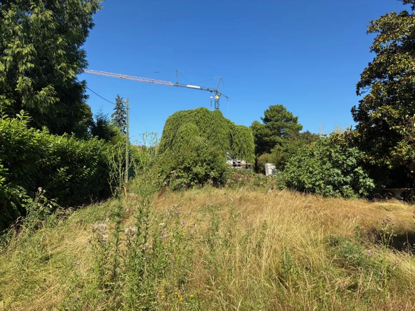 Doppelhaushälfte kaufen - Foto 4 von 11