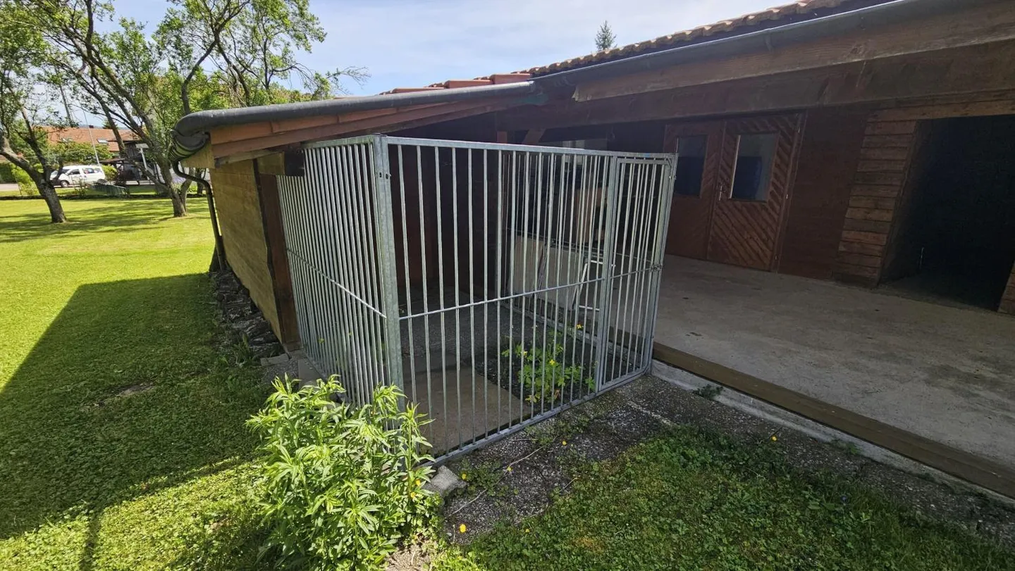 Doppelhaus mit Grossem Potenzial - Foto 9 von 13