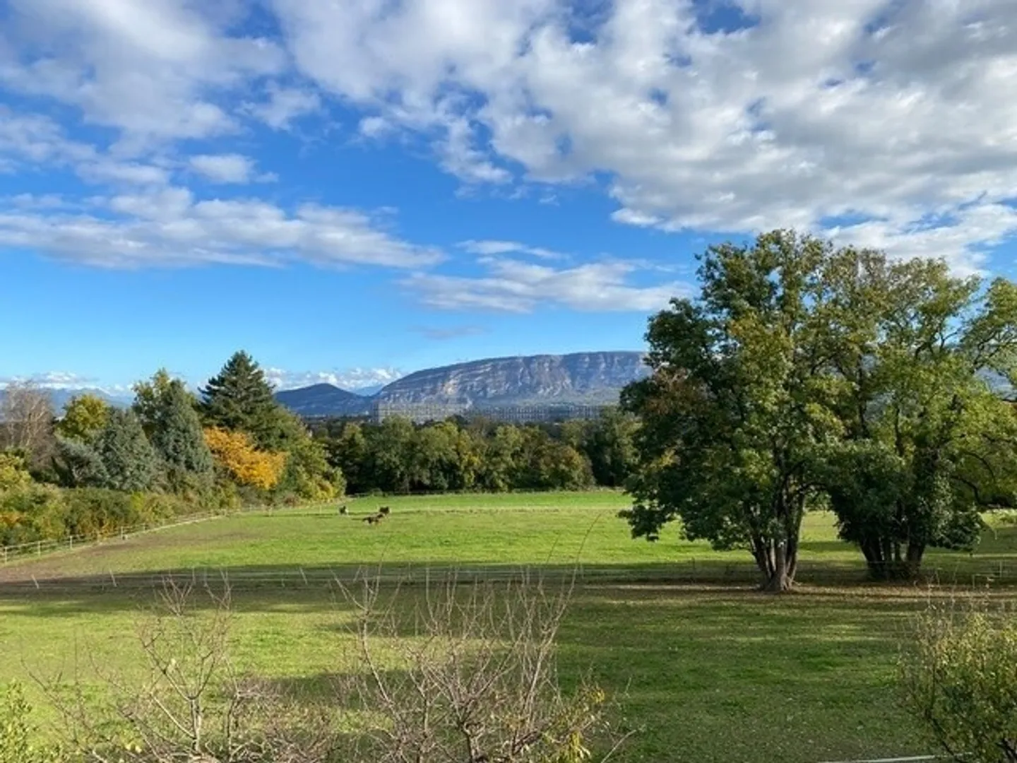 Villa contemporaine avec vue sur le Mont-Blanc - Photo 22 sur 22