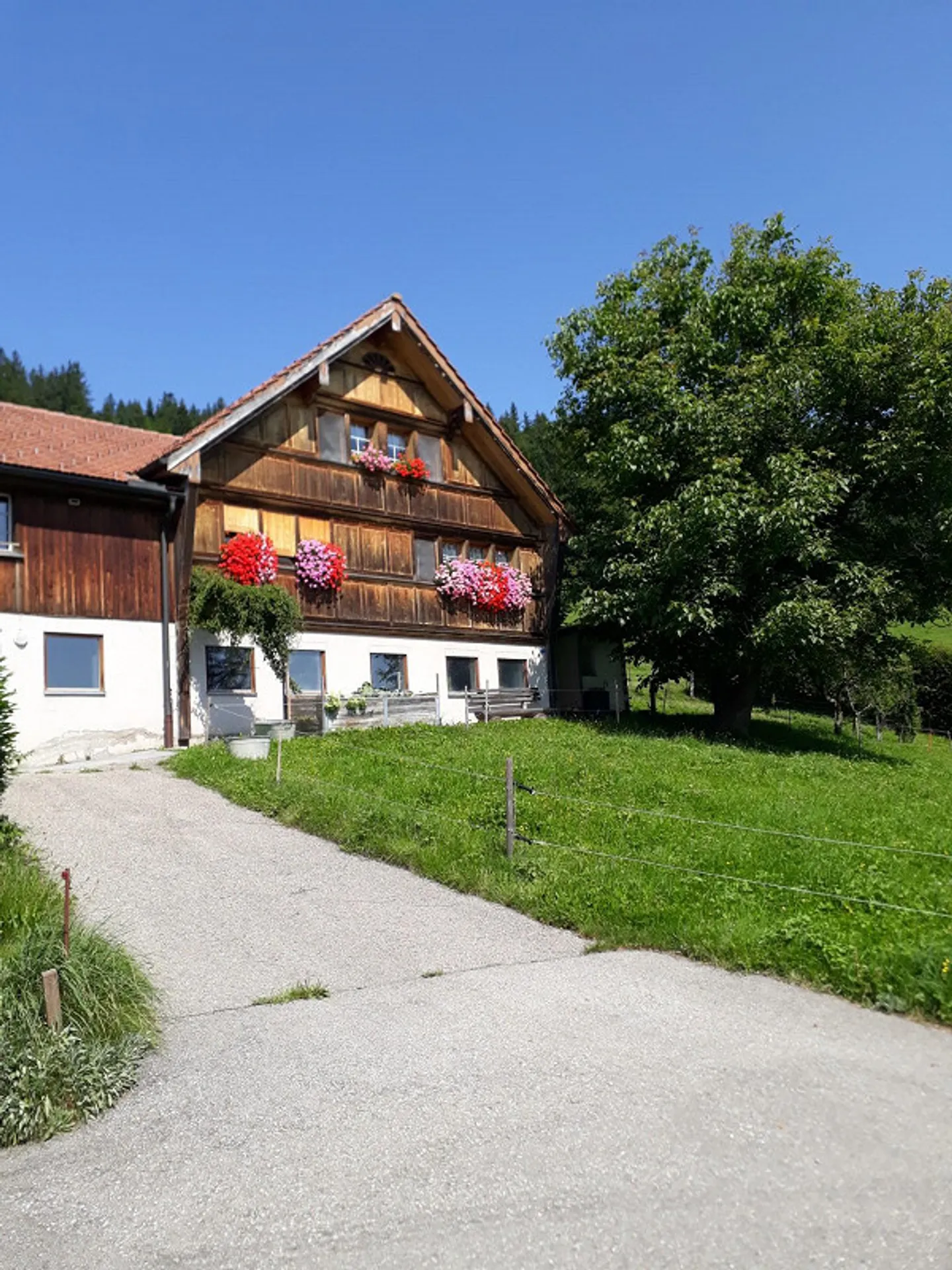 Appenzellerhaus - Foto 1 di 7