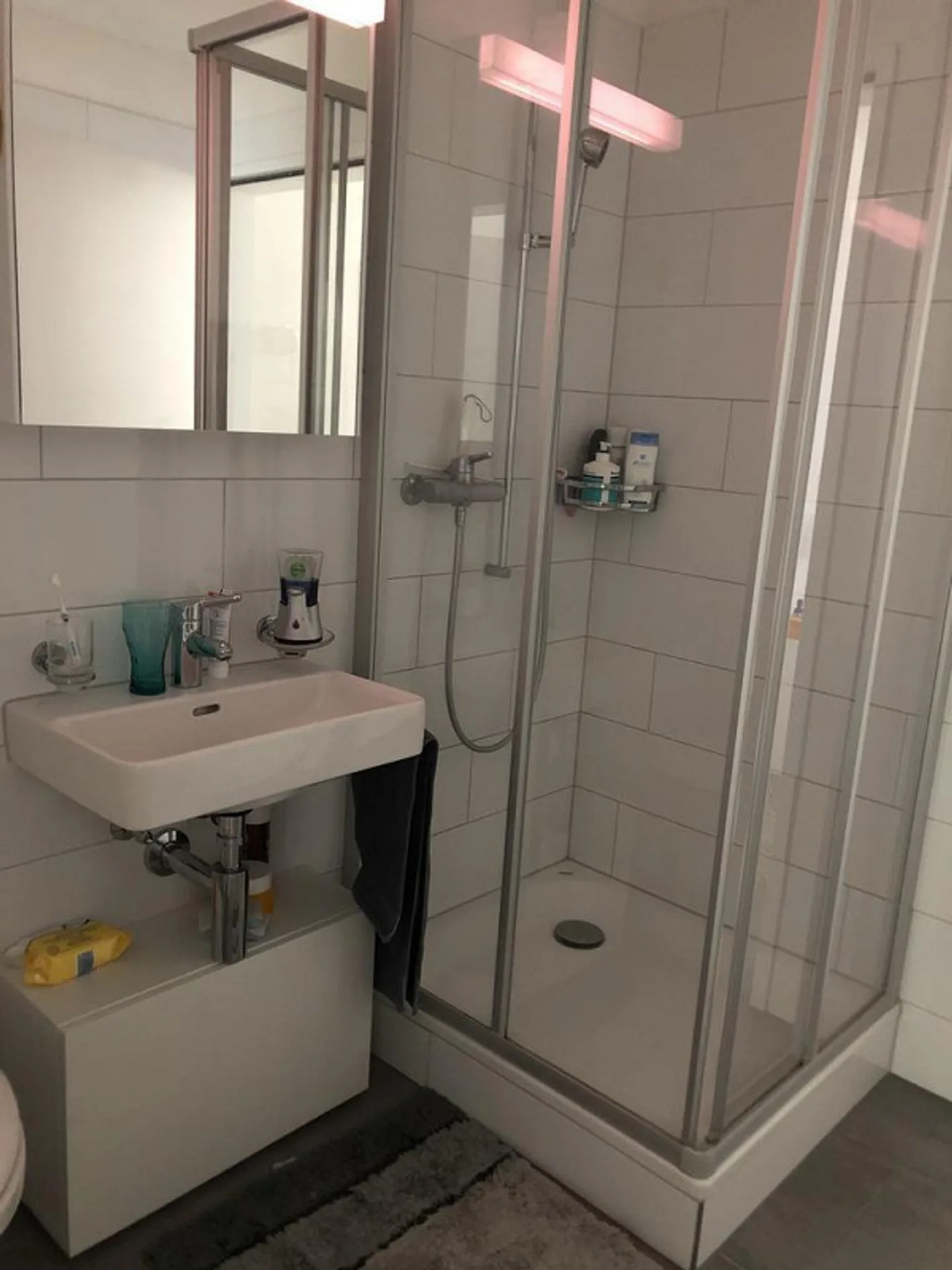 Centrally Located Apartment in Winterthur-Töss - Photo 4 of 8