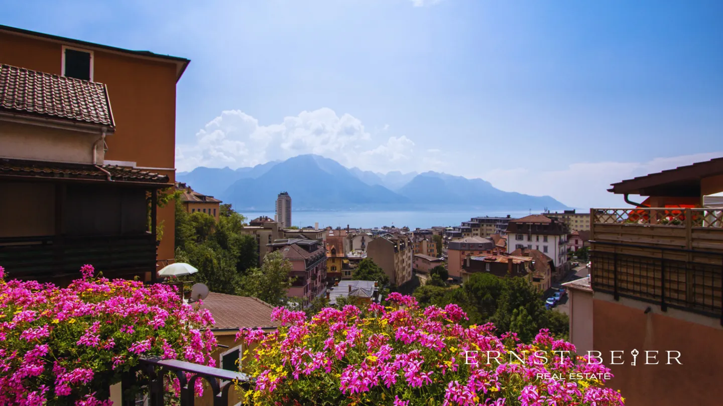 Investment Property in Montreux - Photo 2 of 6