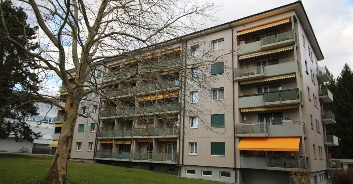 Magnifico appartamento 2½ locali parzialmente ristrutturato - Foto 2 di 3