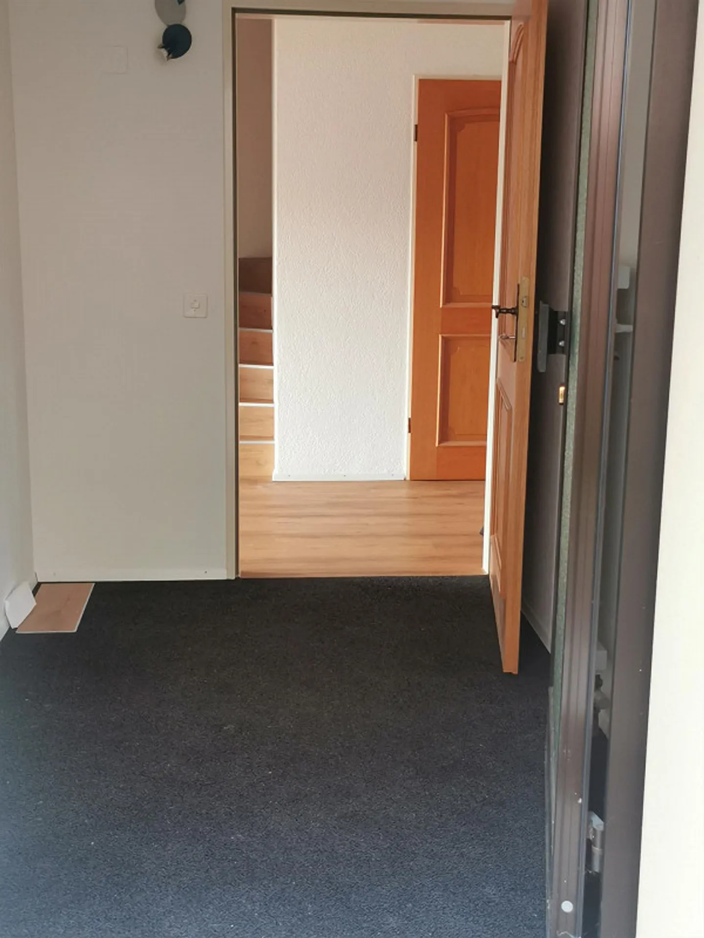 Spacious 7.5-Room House with Garden and Garage - Photo 16 of 29