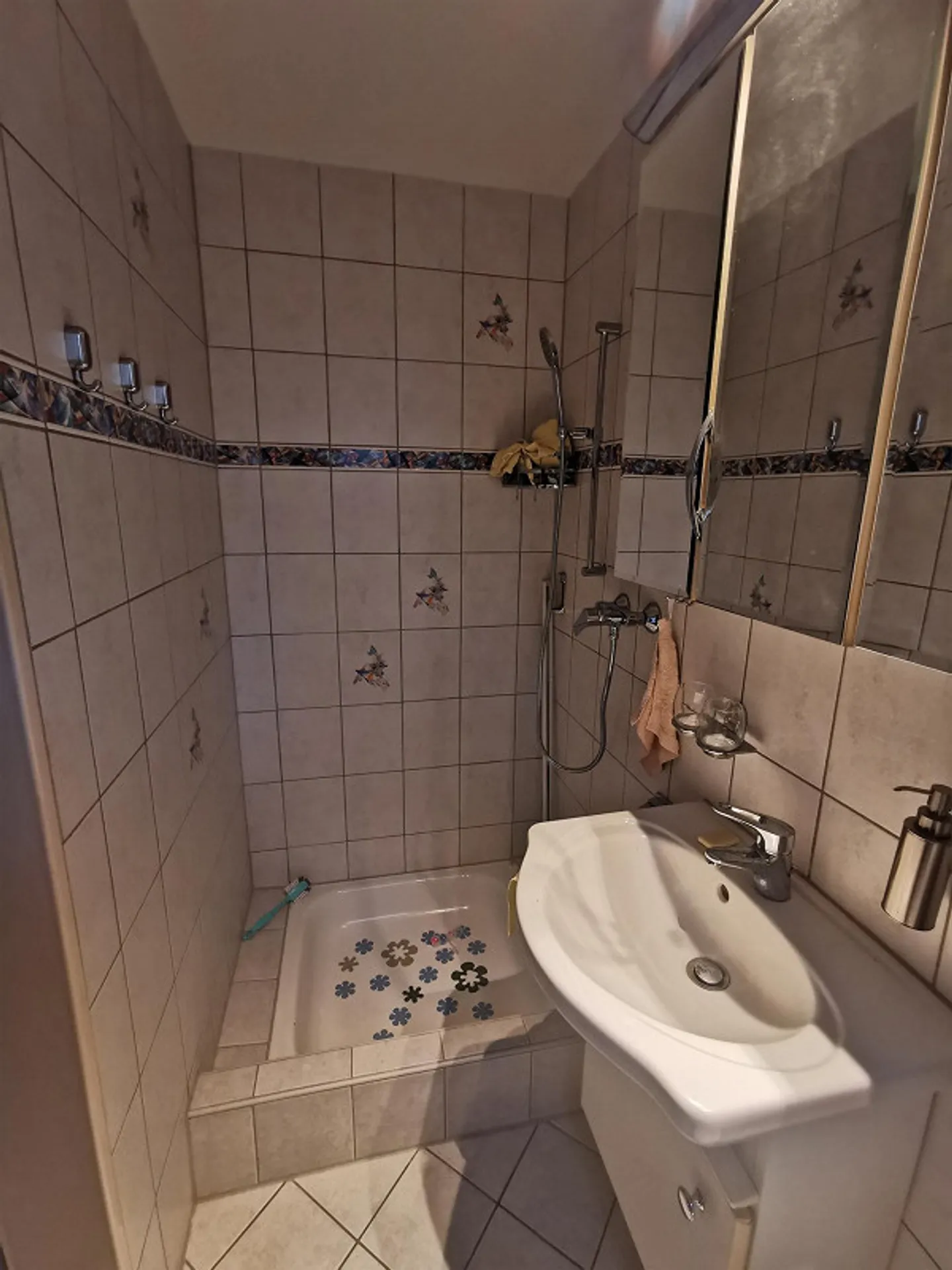 Spacious 7.5-Room House with Garden and Garage - Photo 21 of 29