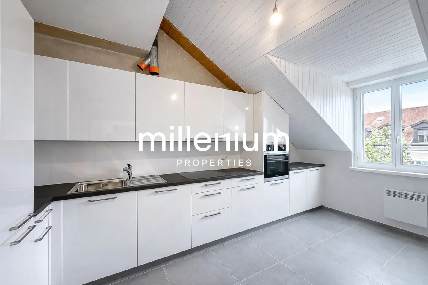 Charming Duplex Penthouse in Carouge - Photo 3 of 12