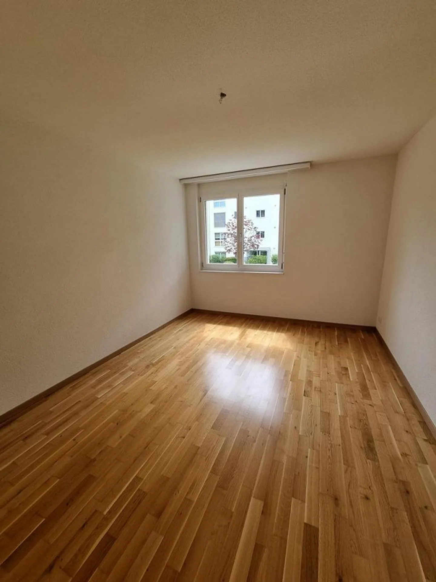 Geräumige 4.5 Zimmer Wohnung - Foto 6 von 11