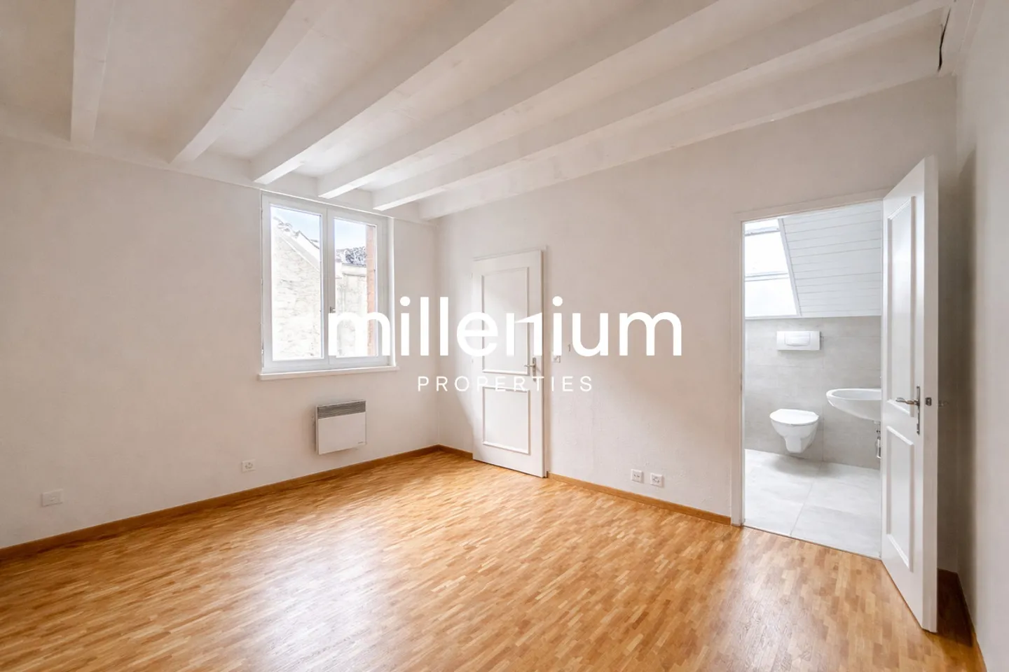 Charming Duplex Penthouse in Carouge - Photo 10 of 12