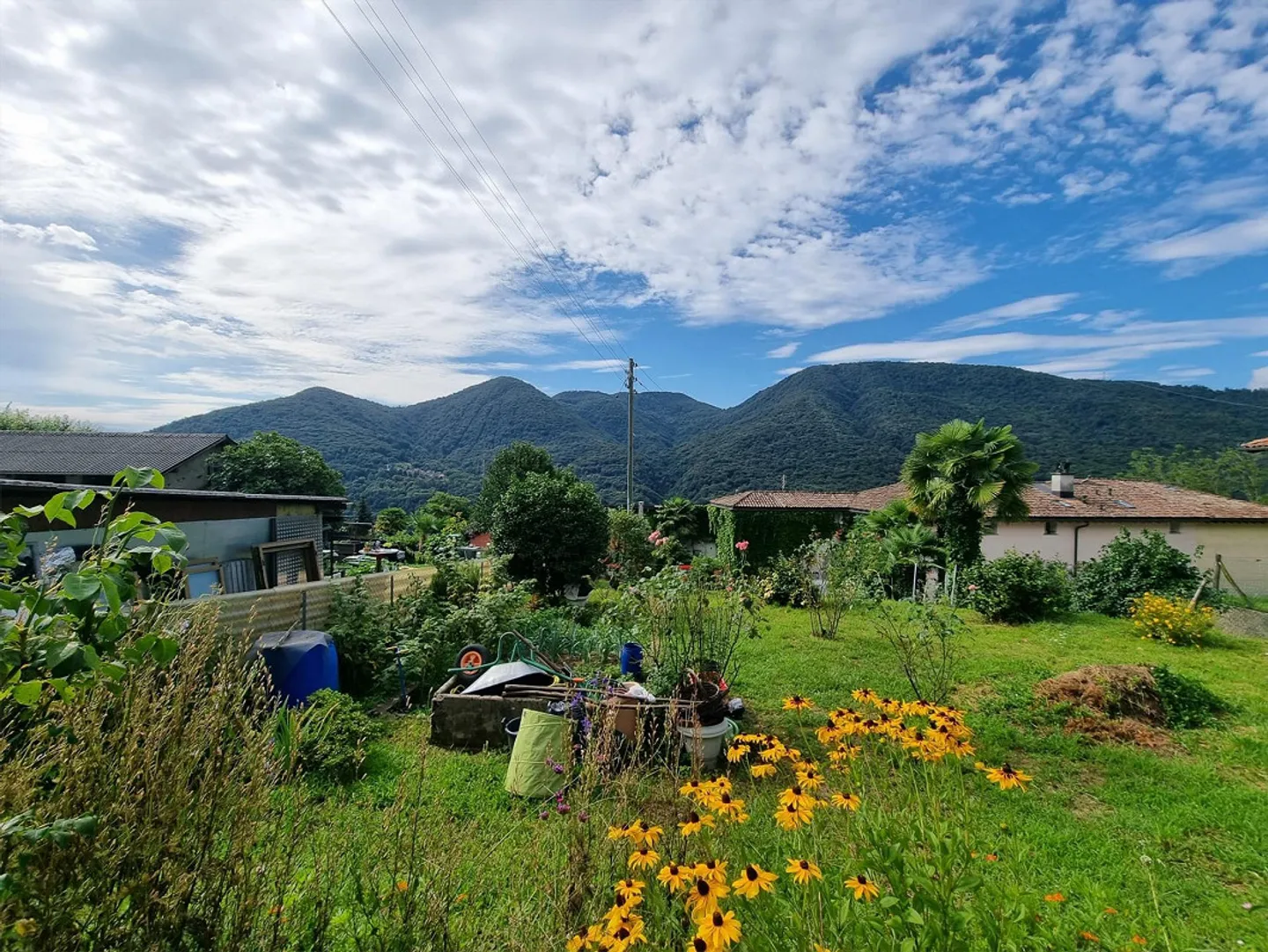 TERRAIN CONSTRUCTIBLE AVEC PROJET POUR UNE MAISON À MONTEGGIO - Photo 2 sur 5