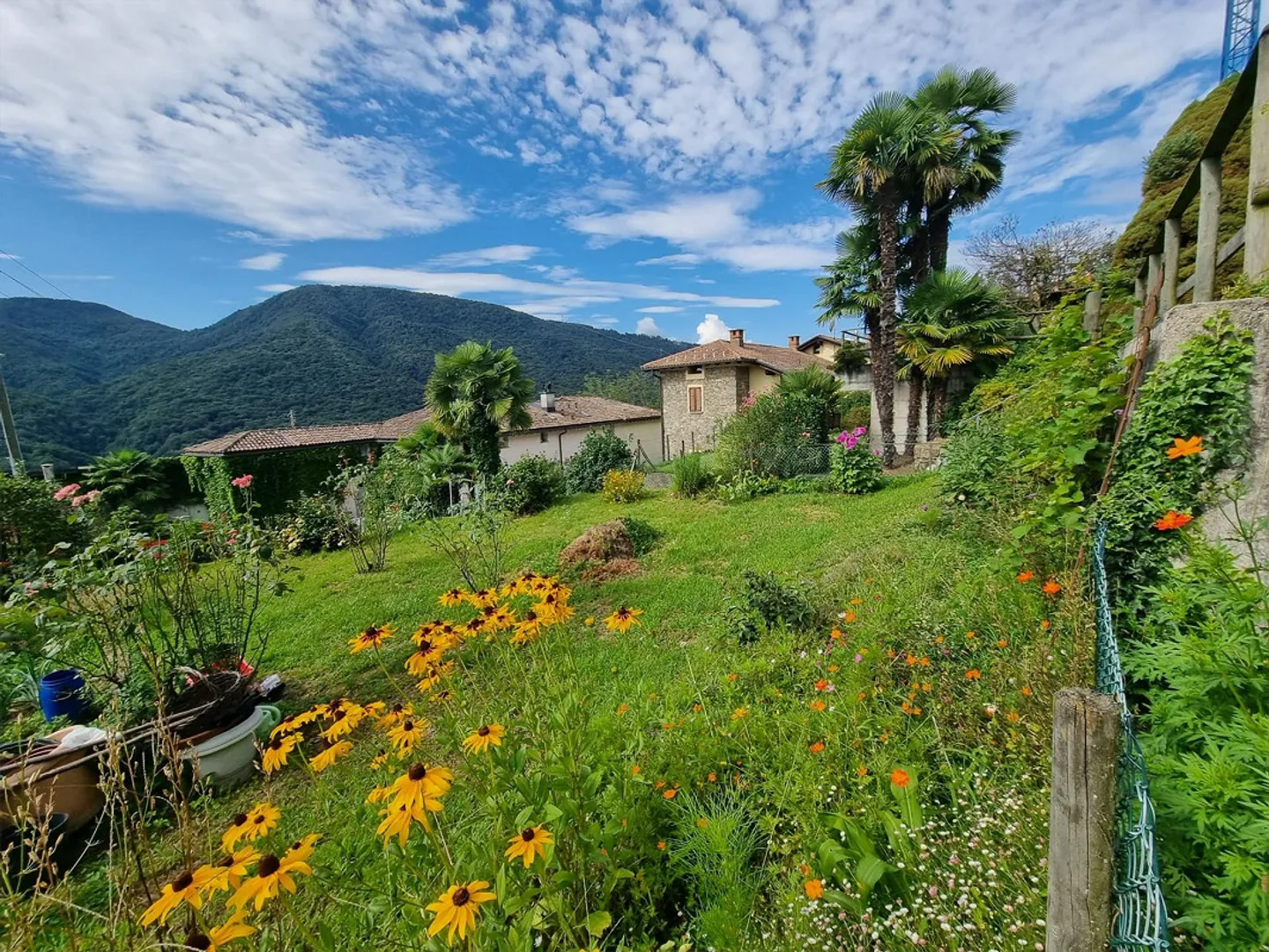 TERRAIN CONSTRUCTIBLE AVEC PROJET POUR UNE MAISON À MONTEGGIO - Photo 3 sur 5