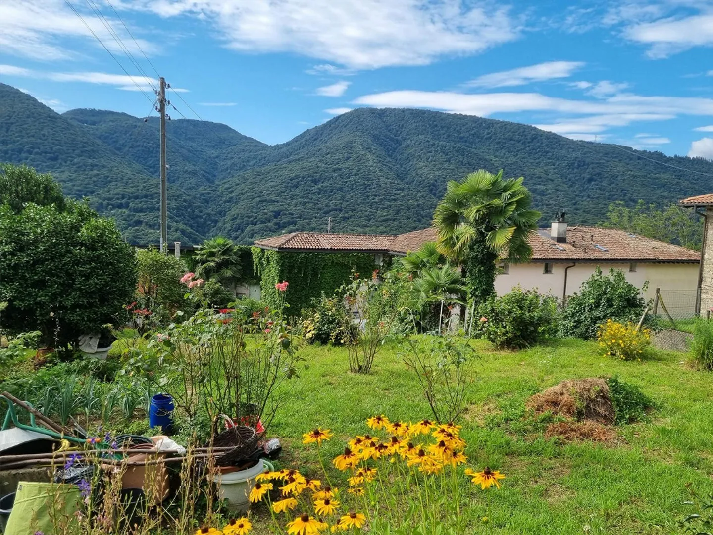 TERRAIN CONSTRUCTIBLE AVEC PROJET POUR UNE MAISON À MONTEGGIO - Photo 4 sur 5
