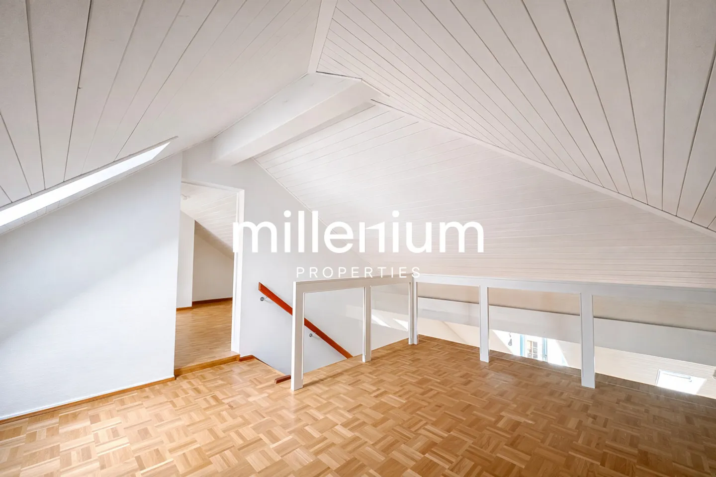 Charming Duplex Penthouse in Carouge - Photo 4 of 12