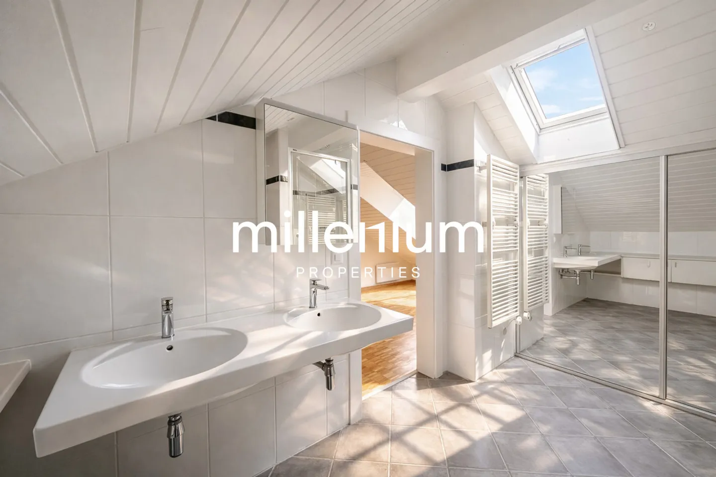 Charming Duplex Penthouse in Carouge - Photo 7 of 12