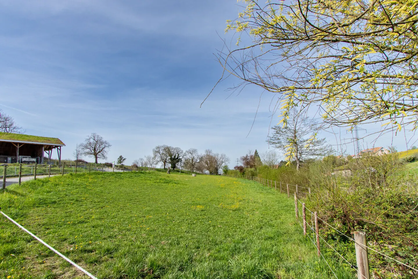 Terreno edificabile a Münchenwiler - Foto 3 di 4