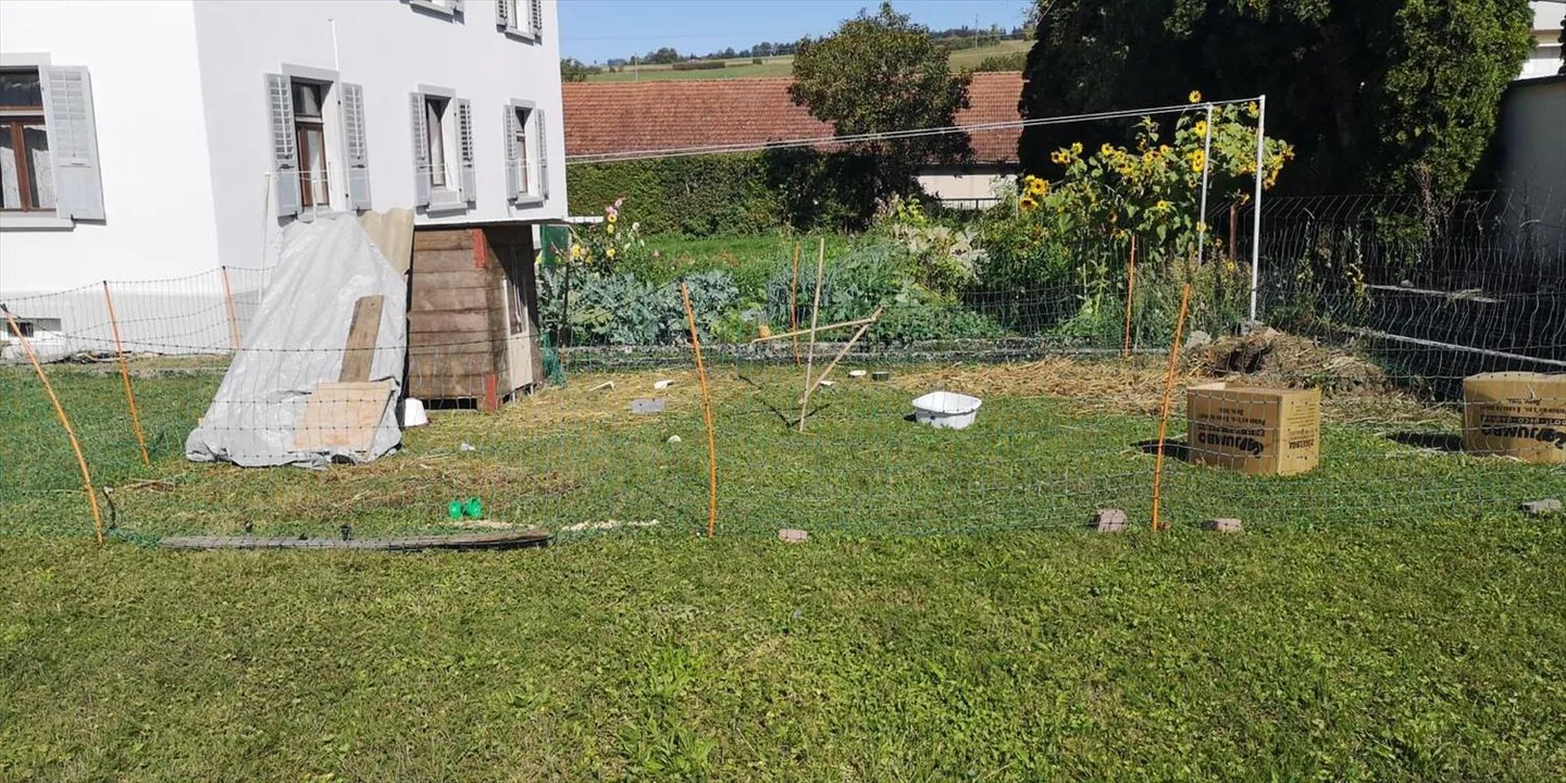 4,5-Zimmer-Wohnung - Foto 5 von 8