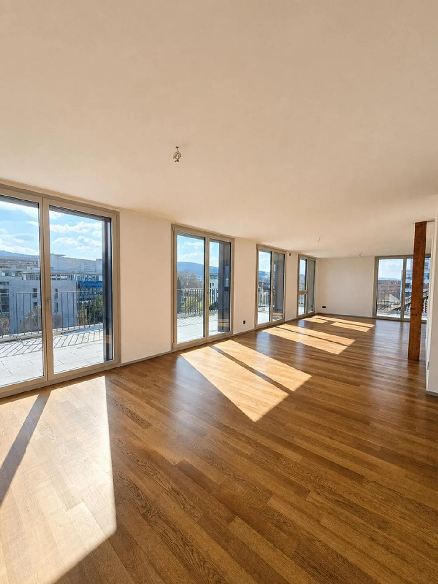 Sun-drenched 4.5-room penthouse apartment with 81 m² terrace - Photo 1 of 13