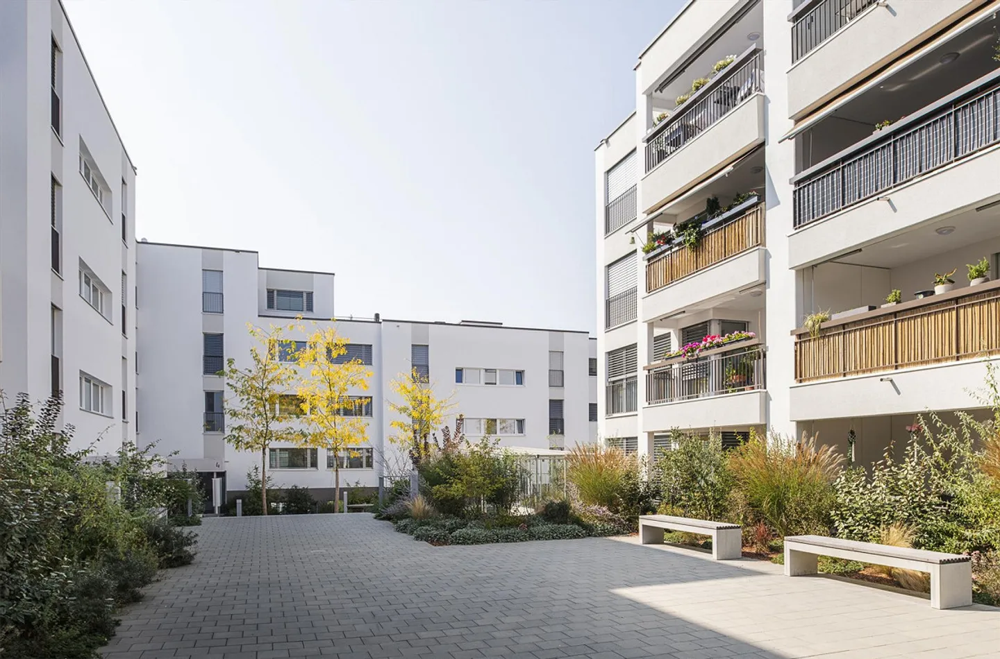 Appartement lumineux de 3,5 pièces à Unterkulm - Votre nouveau chez-vous... - Photo 3 sur 9